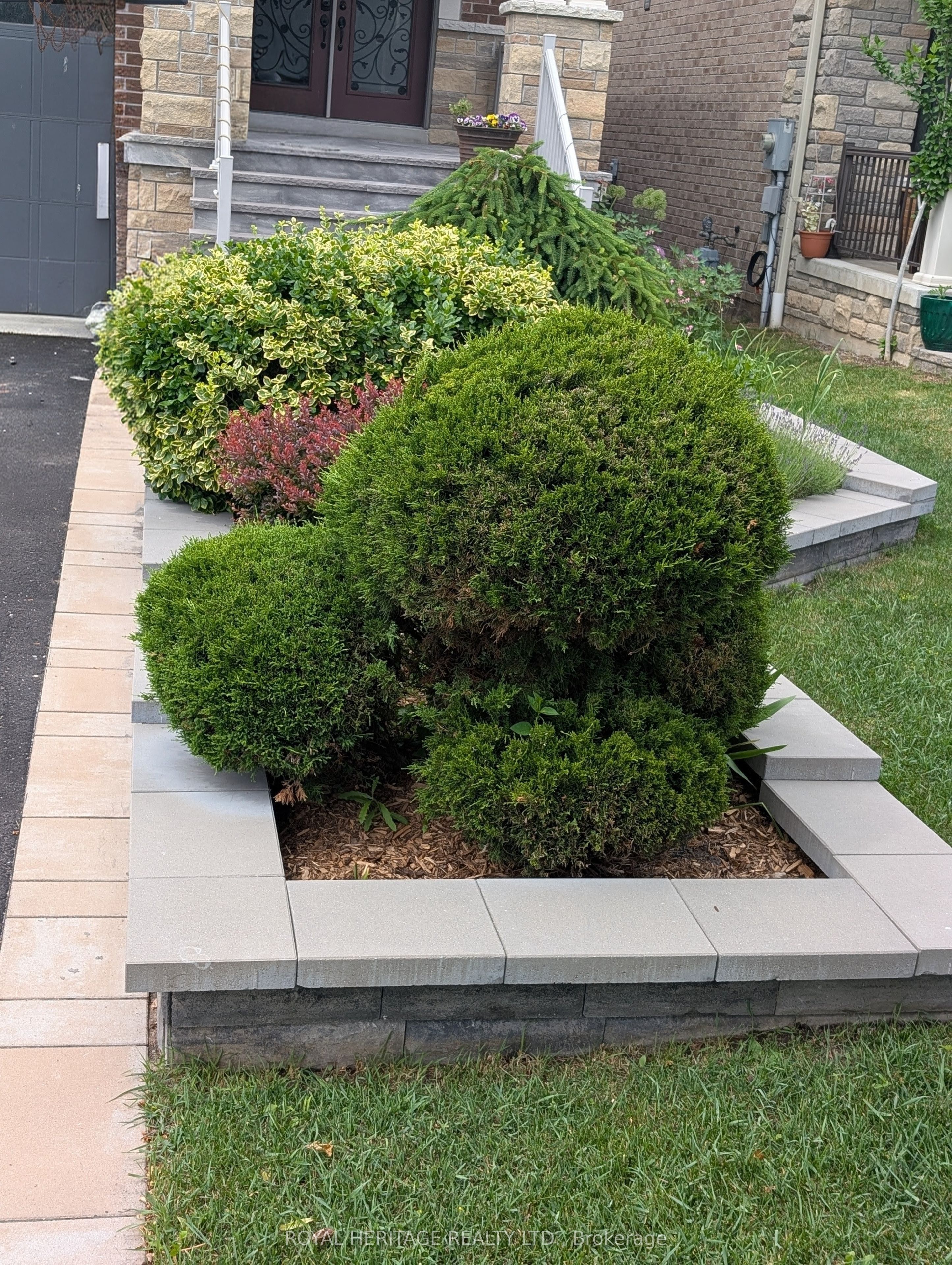 51 Gloria Crescent, Whitby, ON L1P 1V3 photo 4