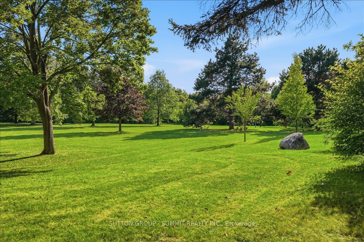 73 Thornbeck Drive, Toronto, ON M1G 2J7 photo 5