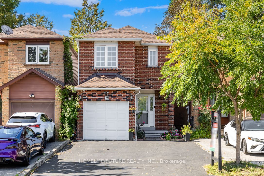 67 Verne Crescent, Toronto, ON M1B 2Y4 photo 4