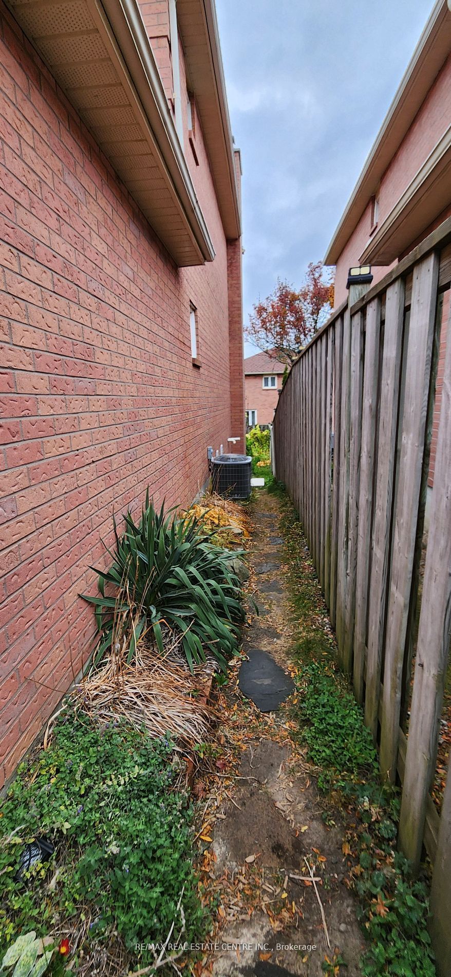 15 Dagwell Crescent basement, Ajax, ON L1T 3M8 photo 3