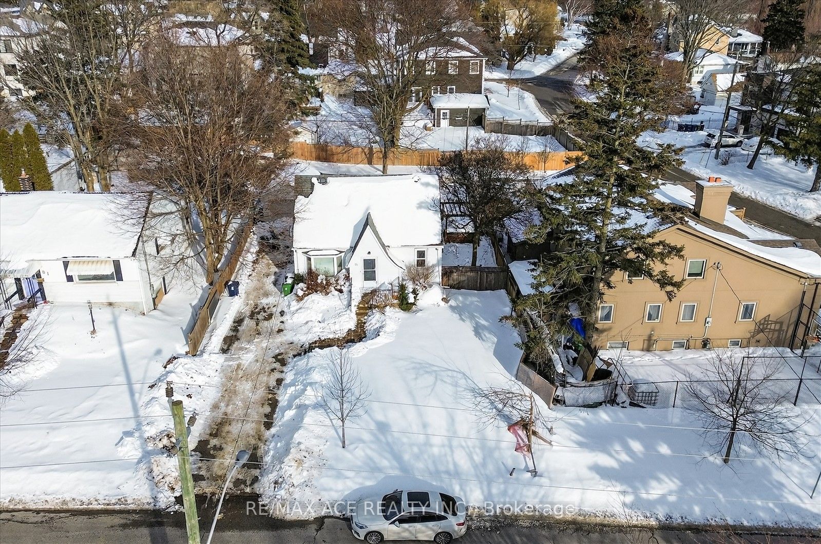 81 Brooklawn Avenue, Toronto, ON M1M 2P7