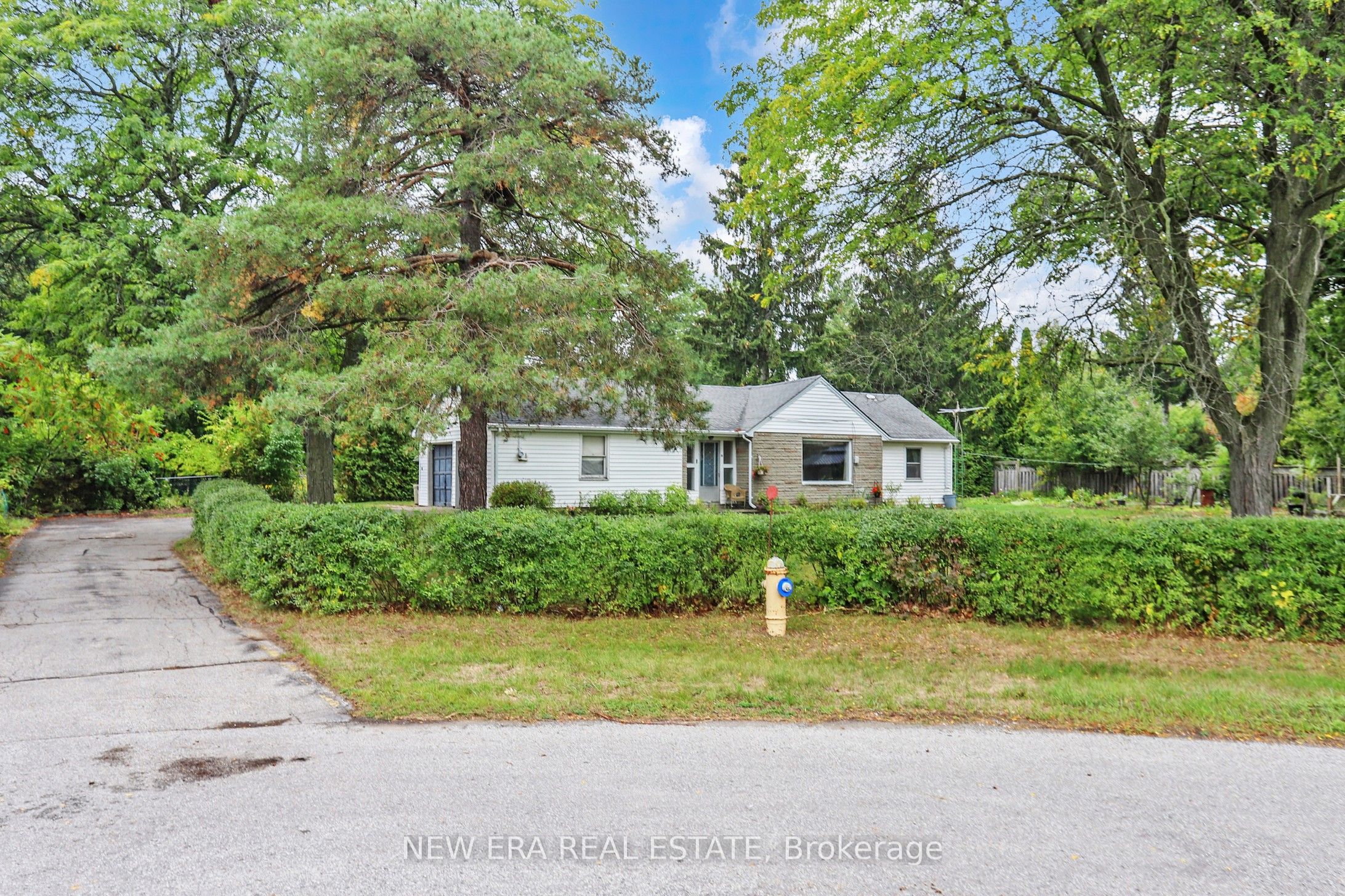 28 Thomas Avenue, Toronto, ON M1C 1E5 photo 5