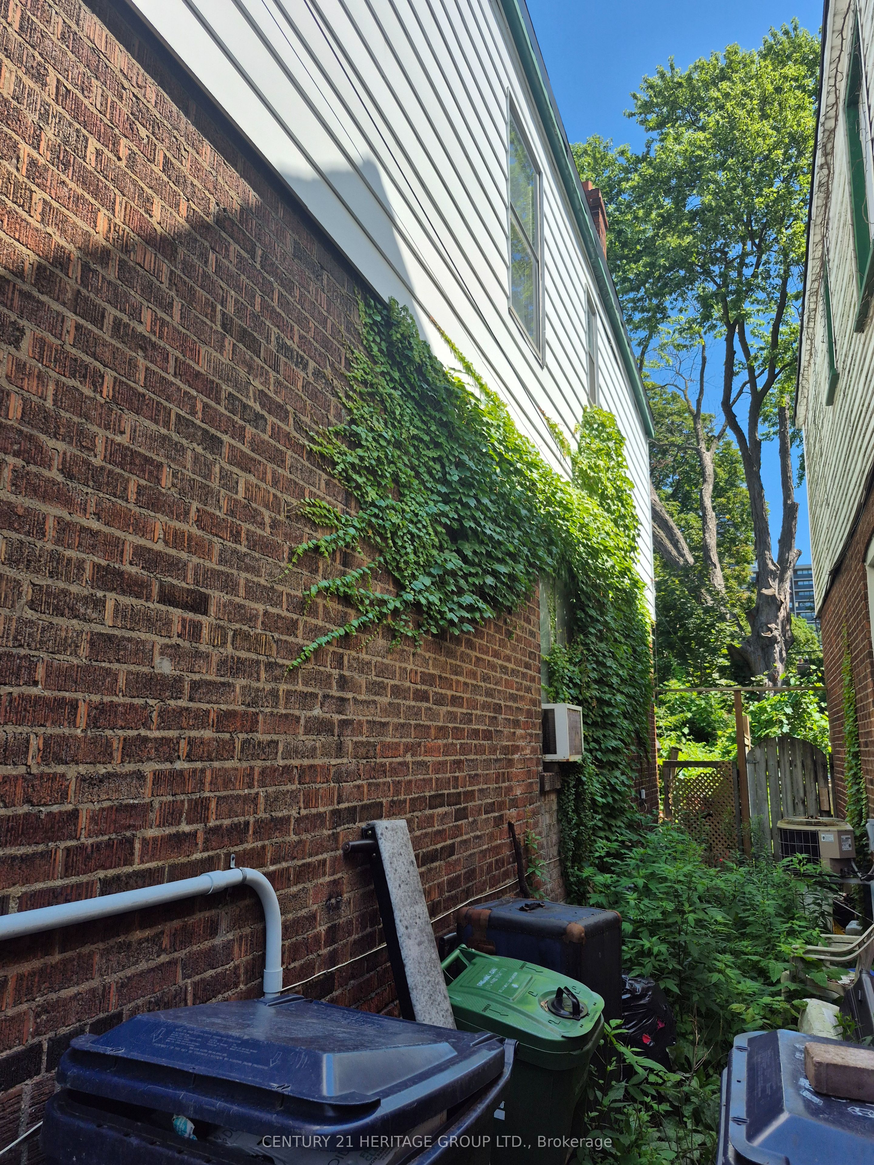 235 Chisholm Avenue, Toronto, ON M4C 4V9 photo 3