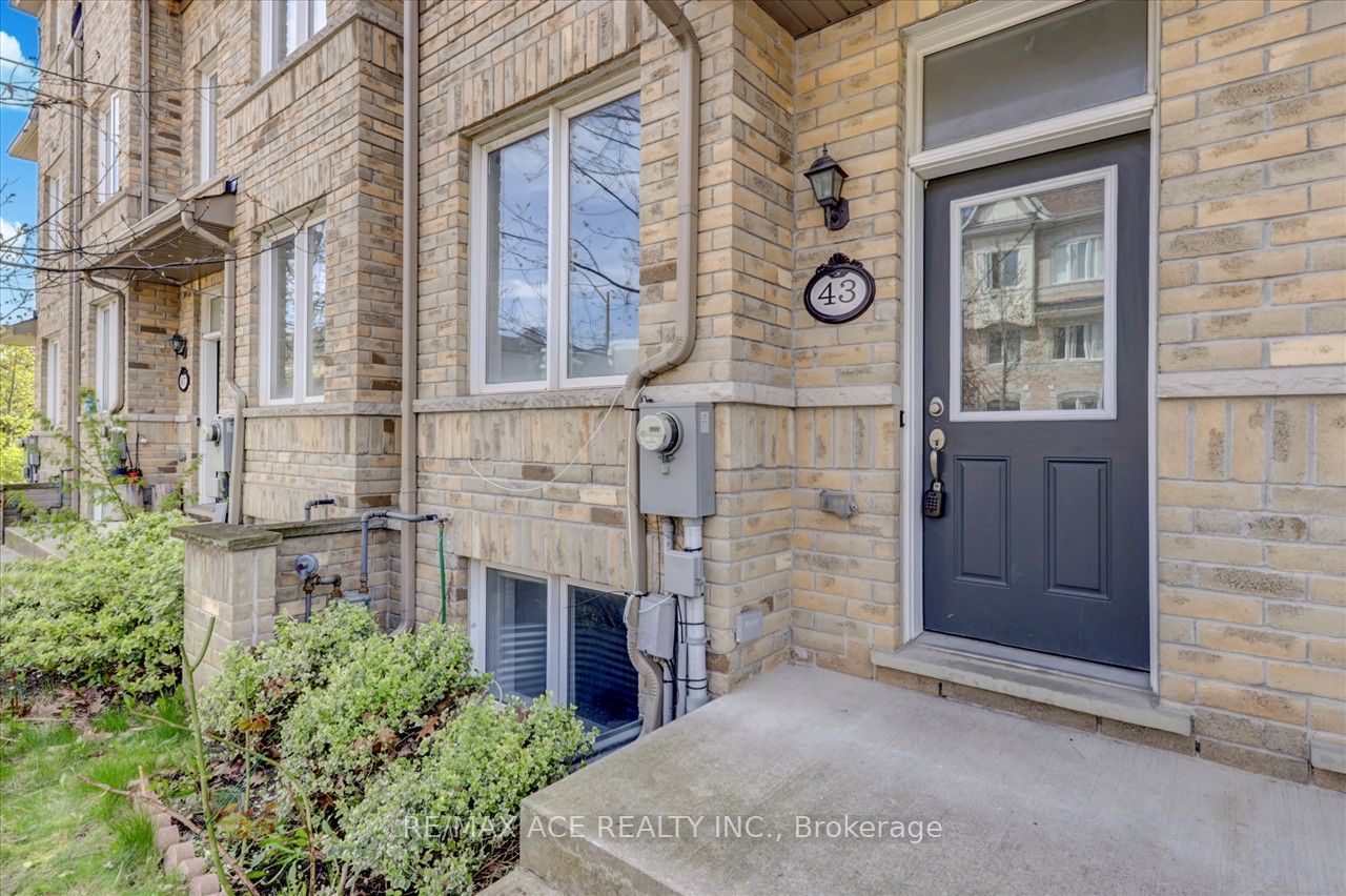 43 Kawneer Terrace, Toronto, ON M1P 0C2 photo 5