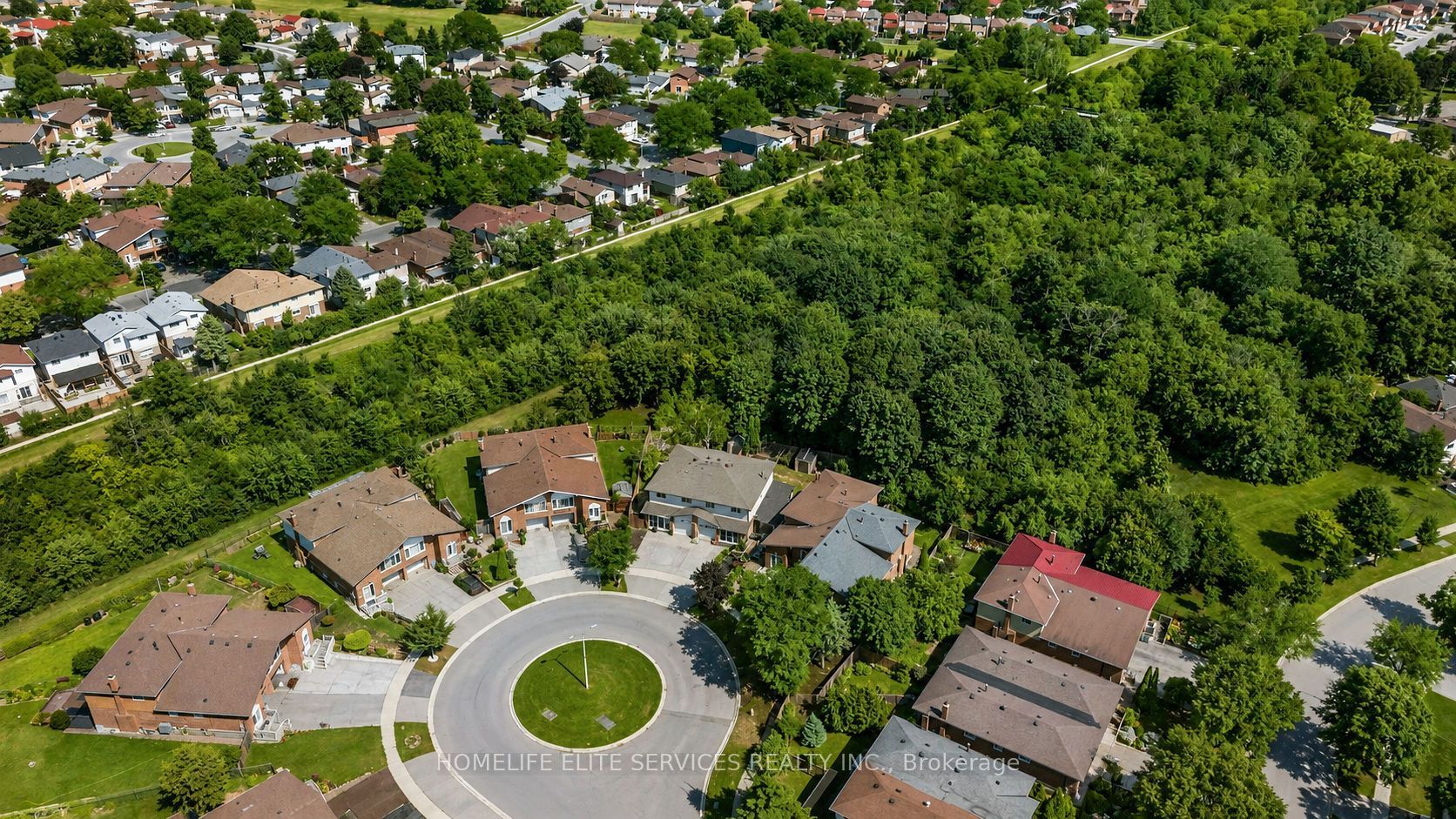 44 Greenhedges Court, Toronto, ON M1B 1T2 photo 5