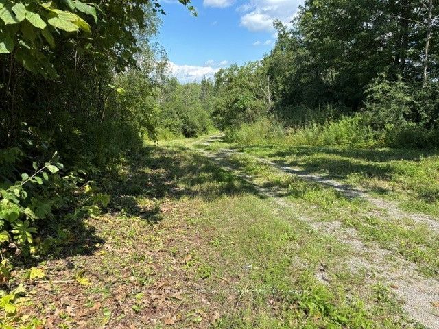 3530 Audley Road, Pickering, ON L1X 2V9 photo 2
