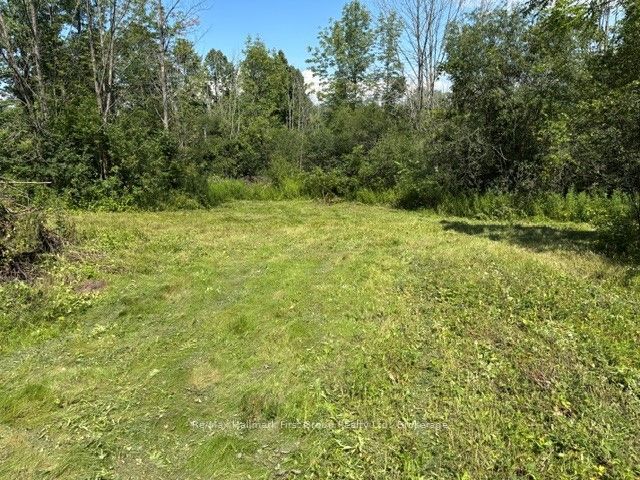 3530 Audley Road, Pickering, ON L1X 2V9 photo 5