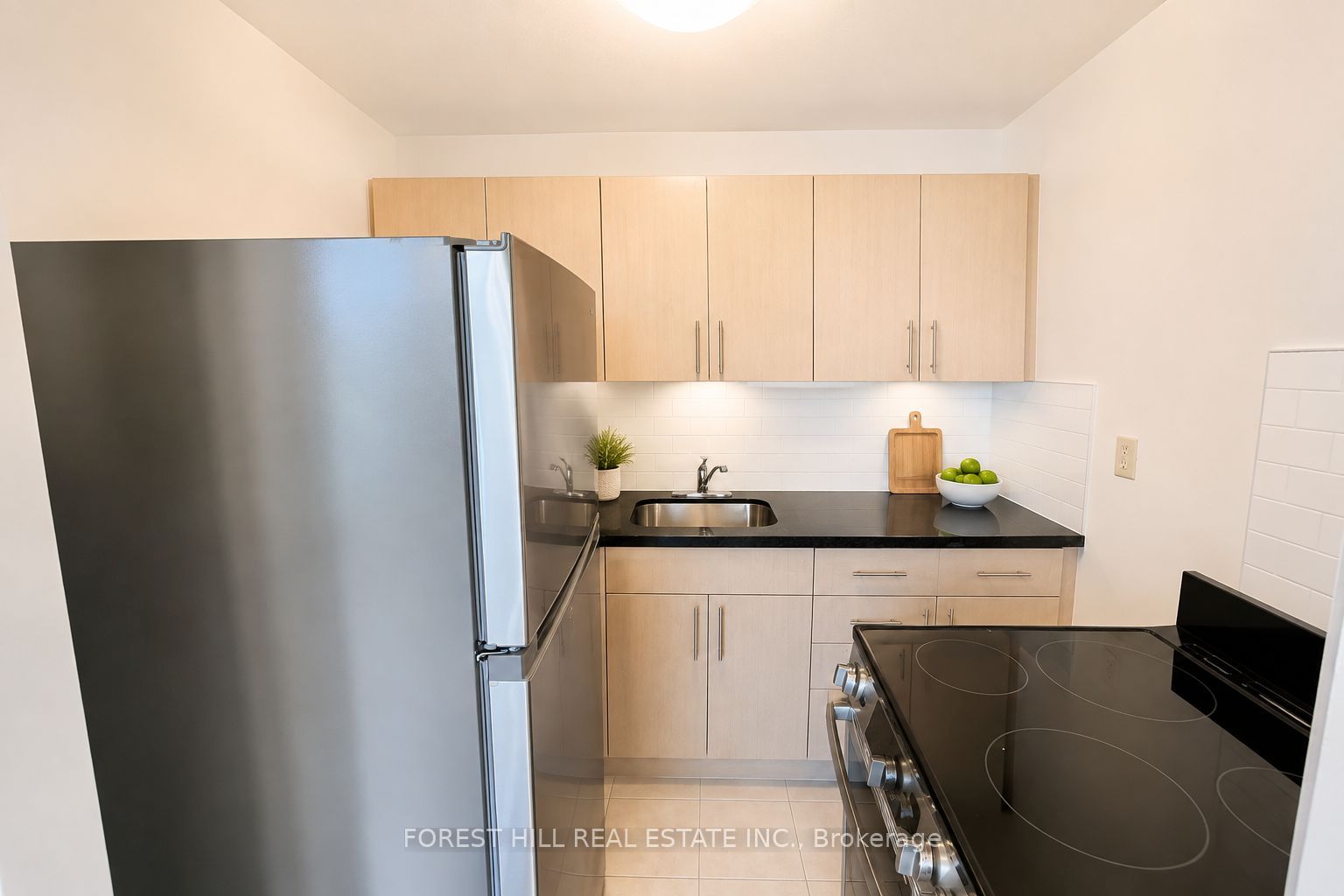 165 Barrington Avenue 301, Toronto, ON M2C 5N1 photo 3