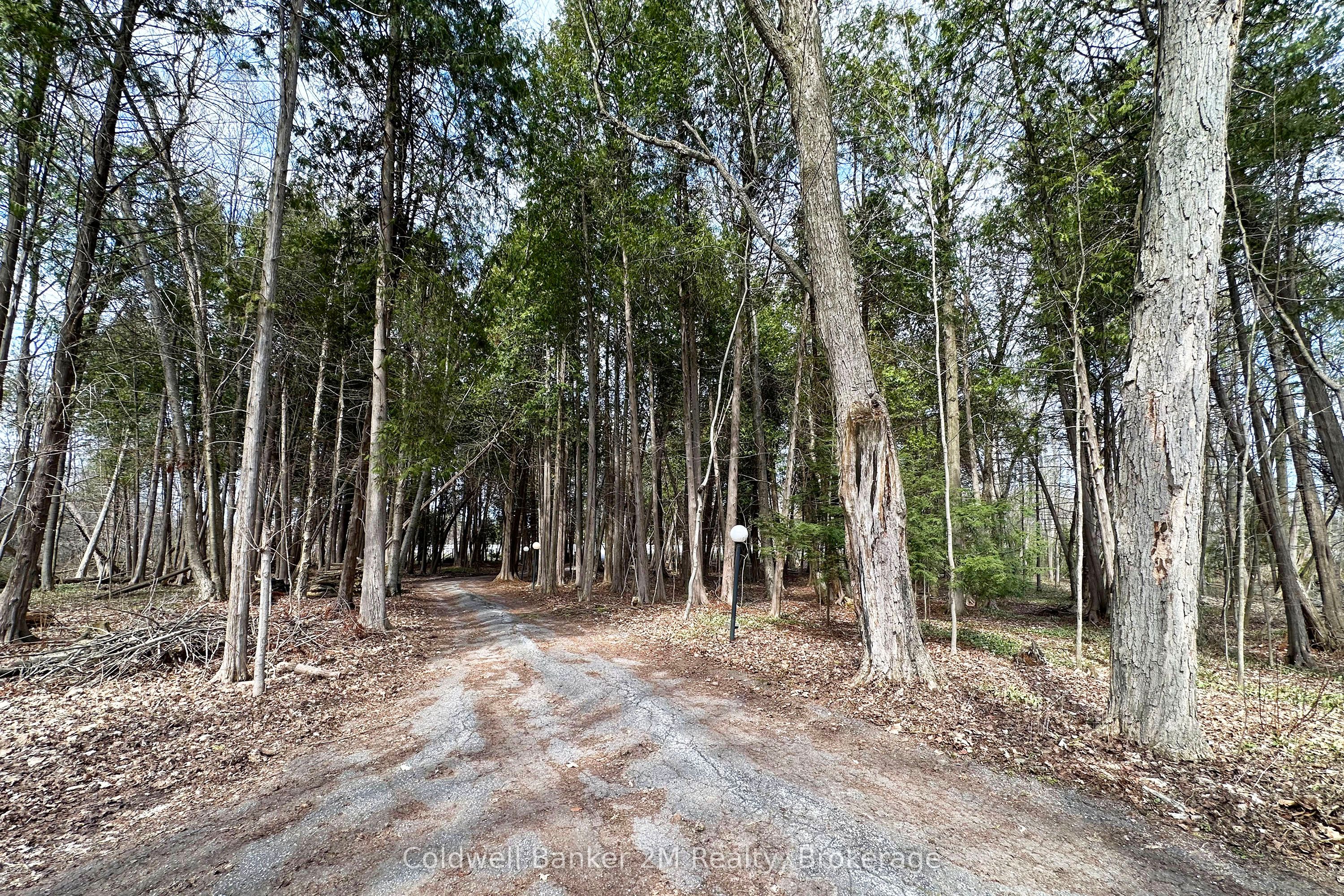 14900 Regional Rd 57, Scugog, ON L0B 1B0 photo 2