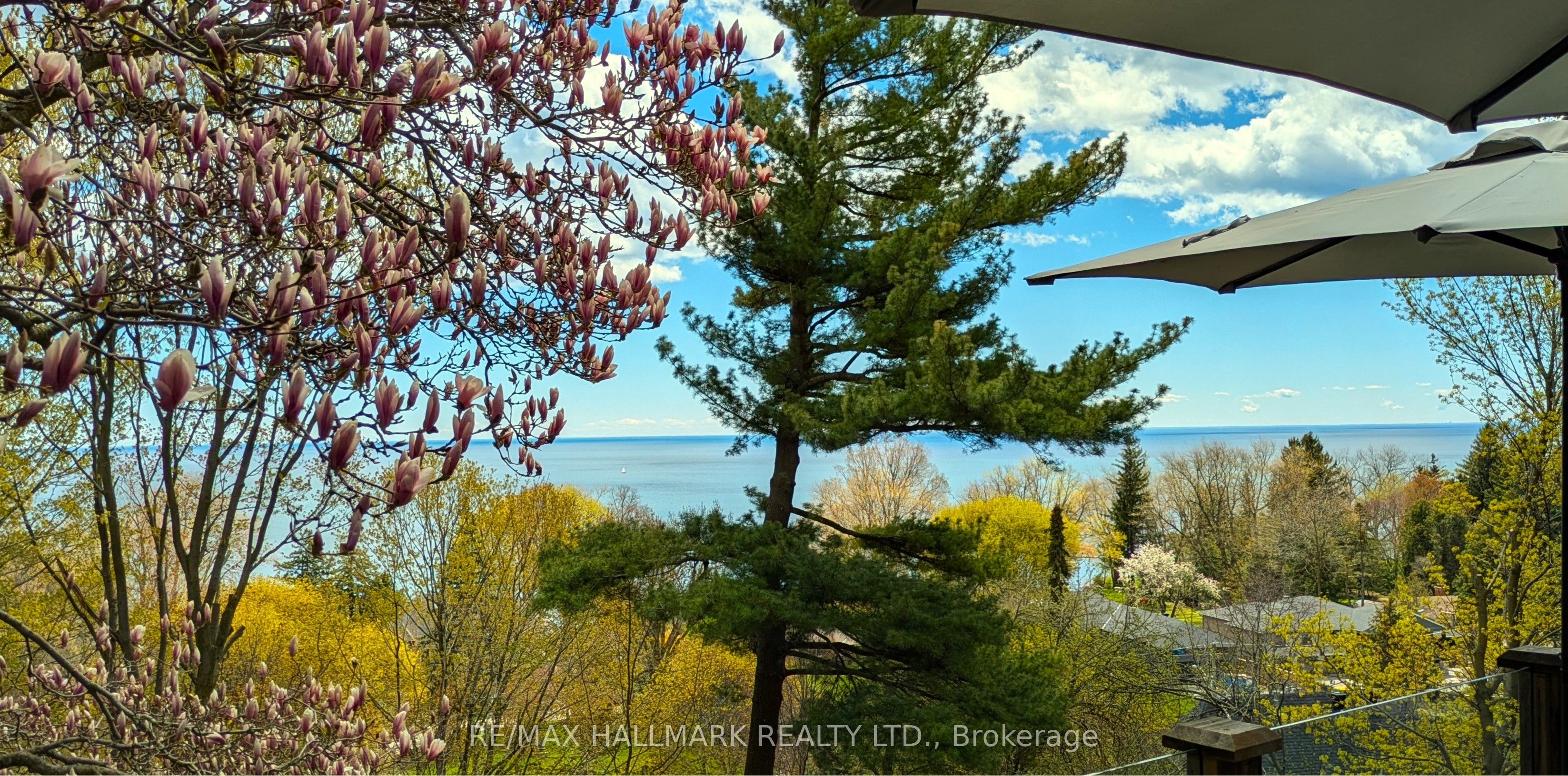 2 Ledge Road, Toronto, ON M1M 1H1