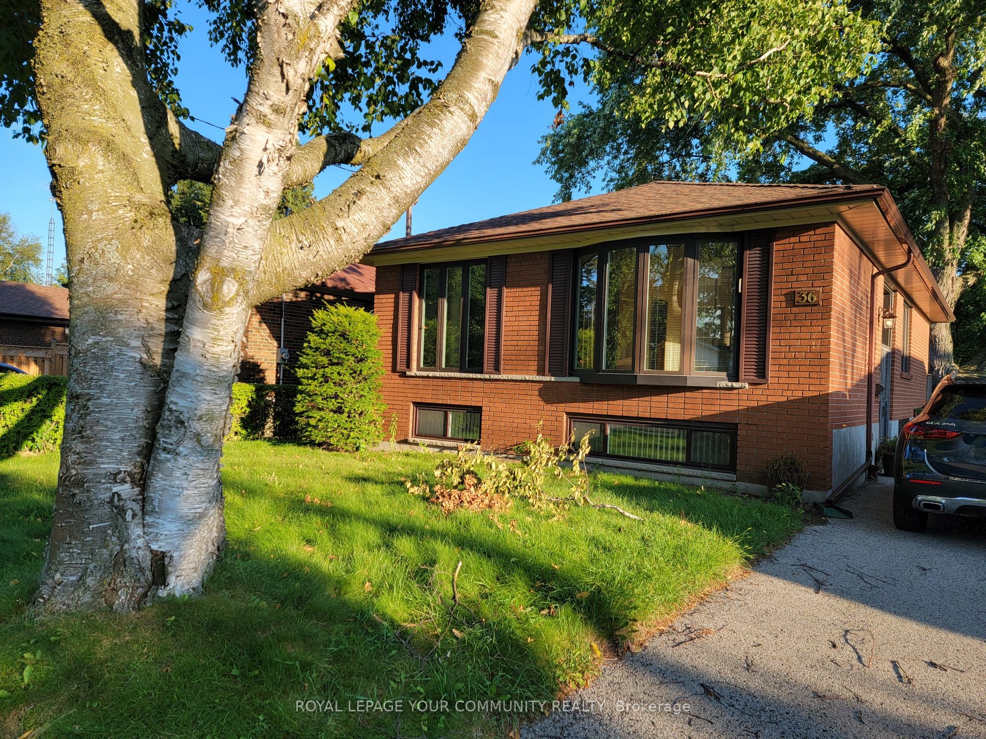 36 Melchior Drive Bsmt #1, Toronto, ON M1E 3W5