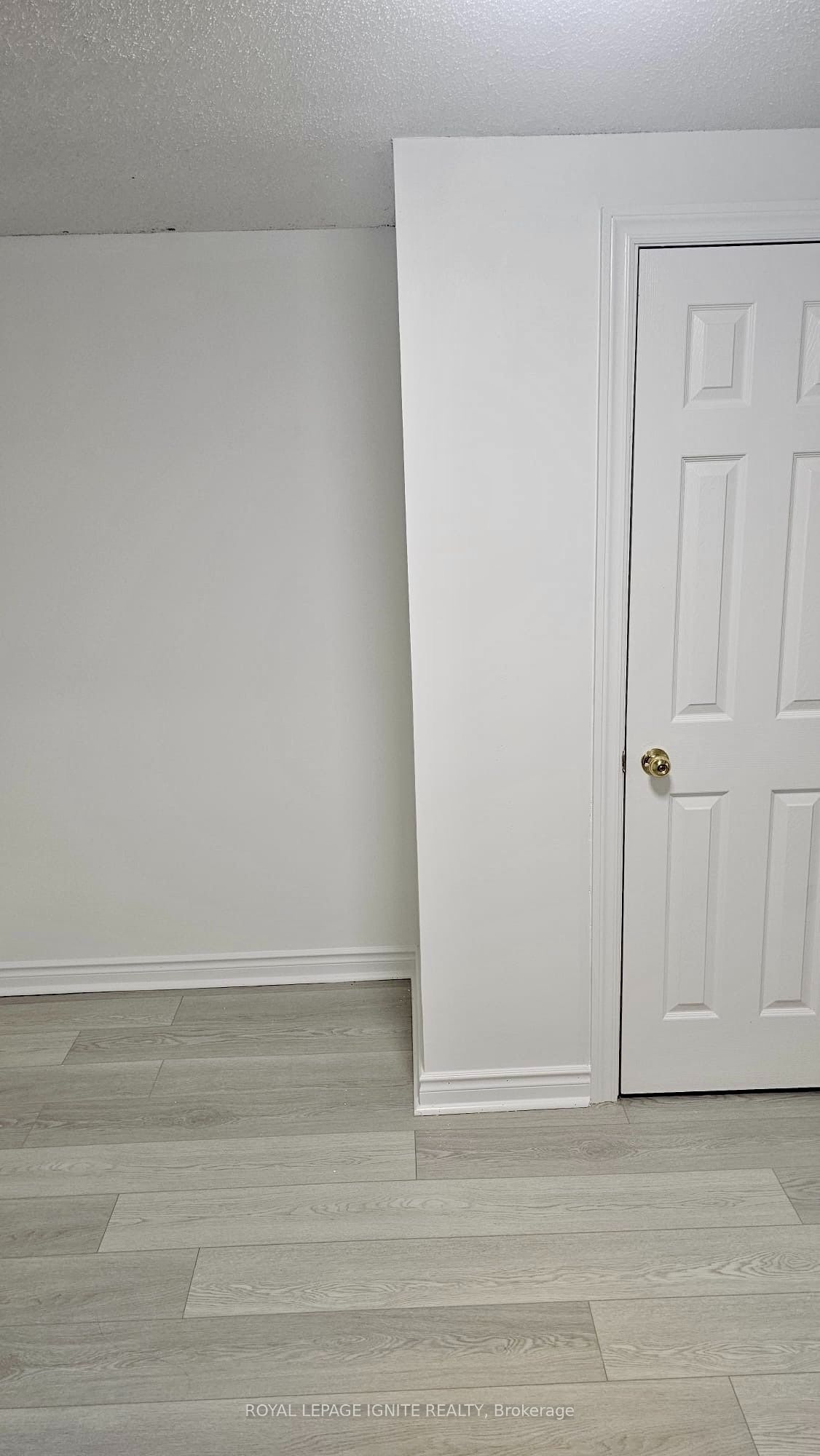 4046 Ellesmere Road BSMT, Toronto, ON M1C 1J2 photo 5