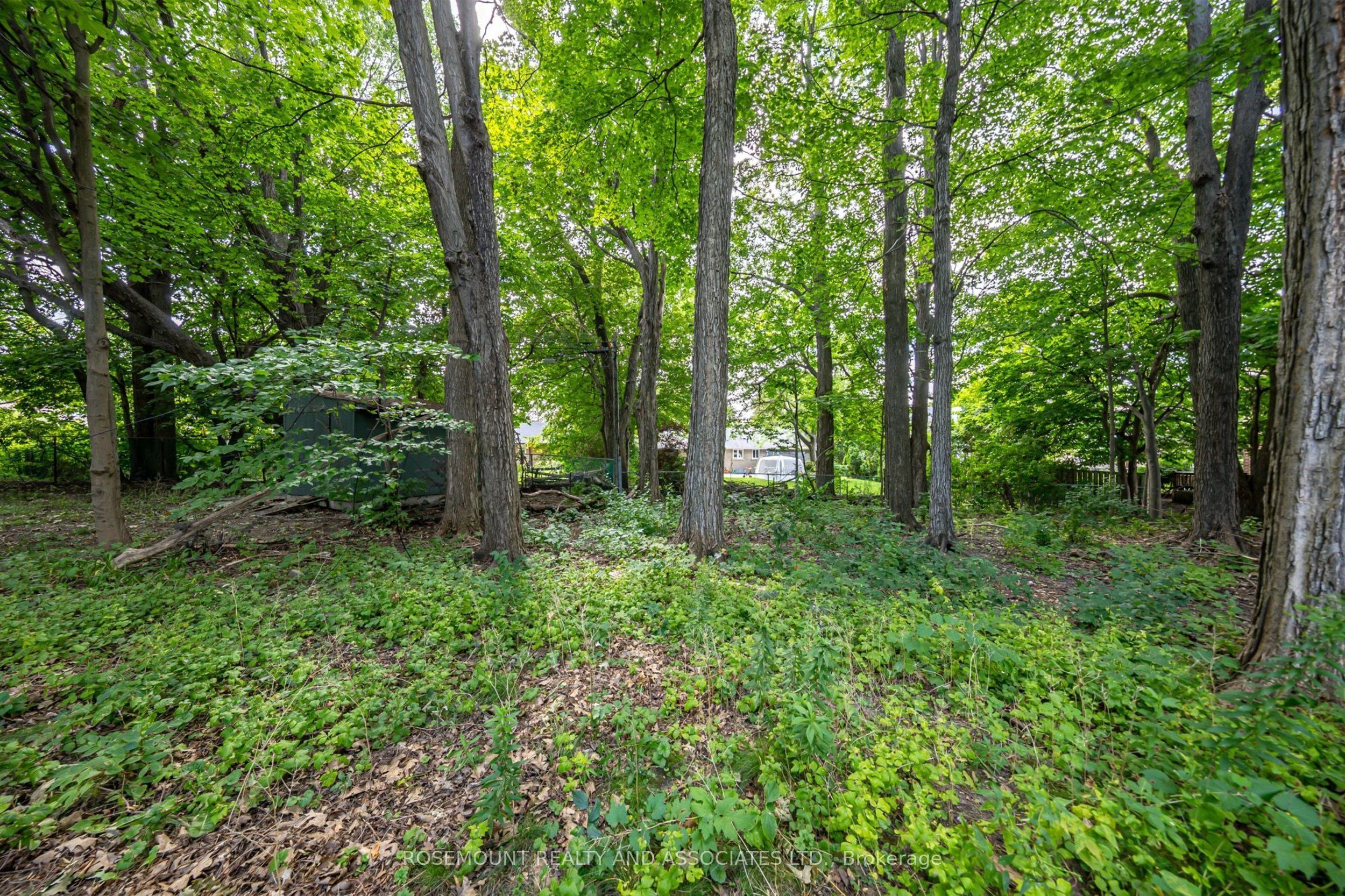 60 Marydon Crescent Upstairs, Toronto, ON M1S 2H2 photo 5