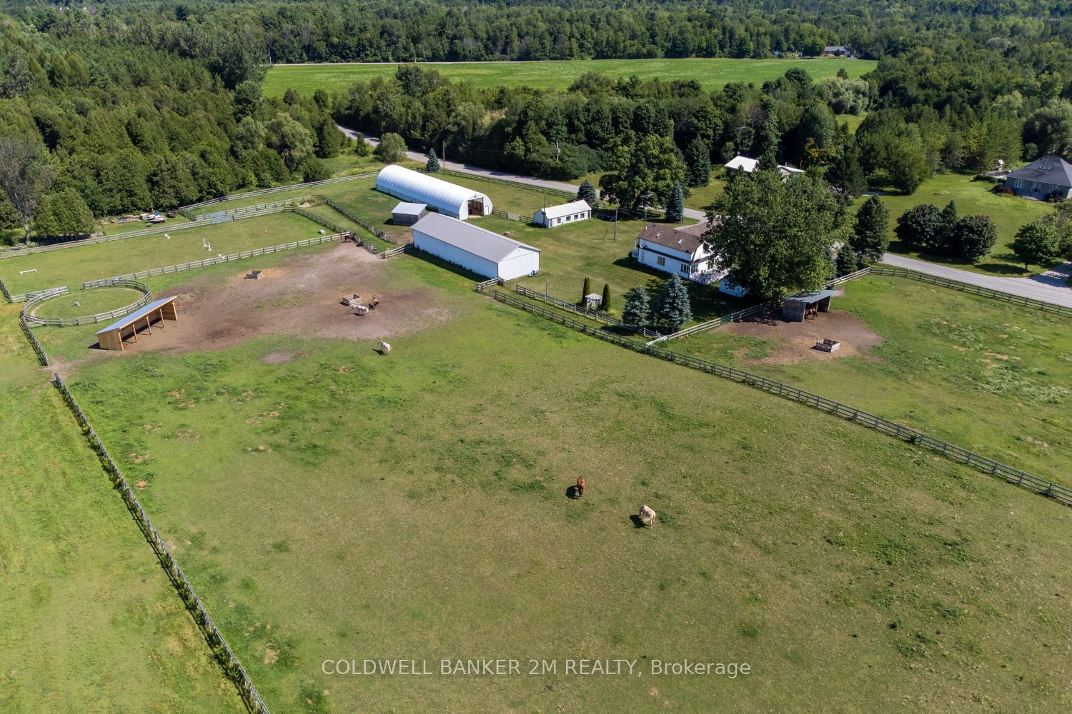 5728 Gilmore Road, Clarington, ON L0A 1J0 photo 4