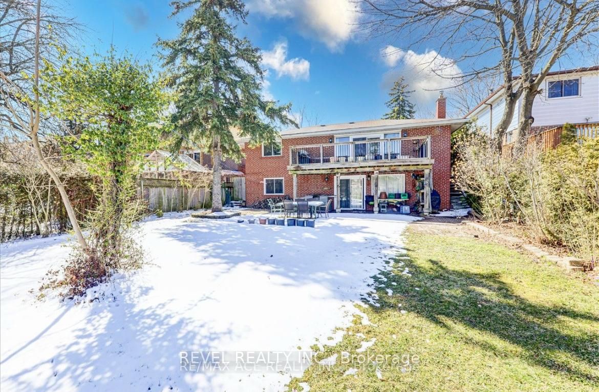 15 Strandhill Road Main, Toronto, ON M1J 3A8 photo 4