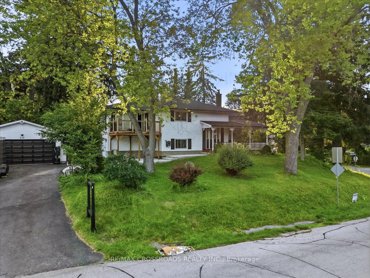 239 Island Road, Toronto, ON M1C 2R1 photo 2