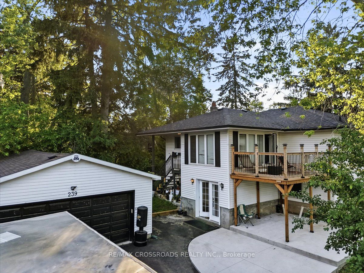 239 Island Road, Toronto, ON M1C 2R1 photo 3
