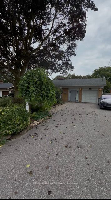 177 Island Road Bsmt, Toronto, ON M1C 2P9
