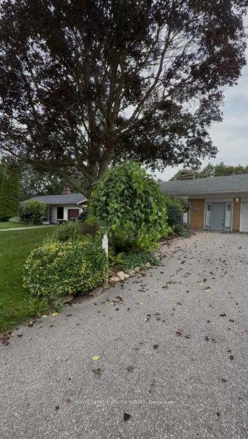 177 Island Road Bsmt, Toronto, ON M1C 2P9 photo 3