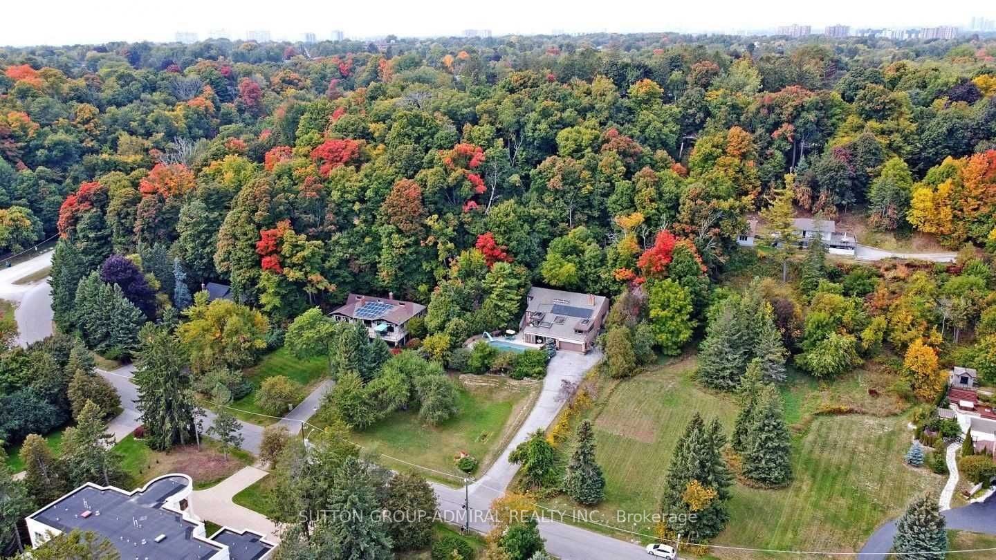 37 Meadowcliffe Drive, Toronto, ON M1M 2X8 photo 5