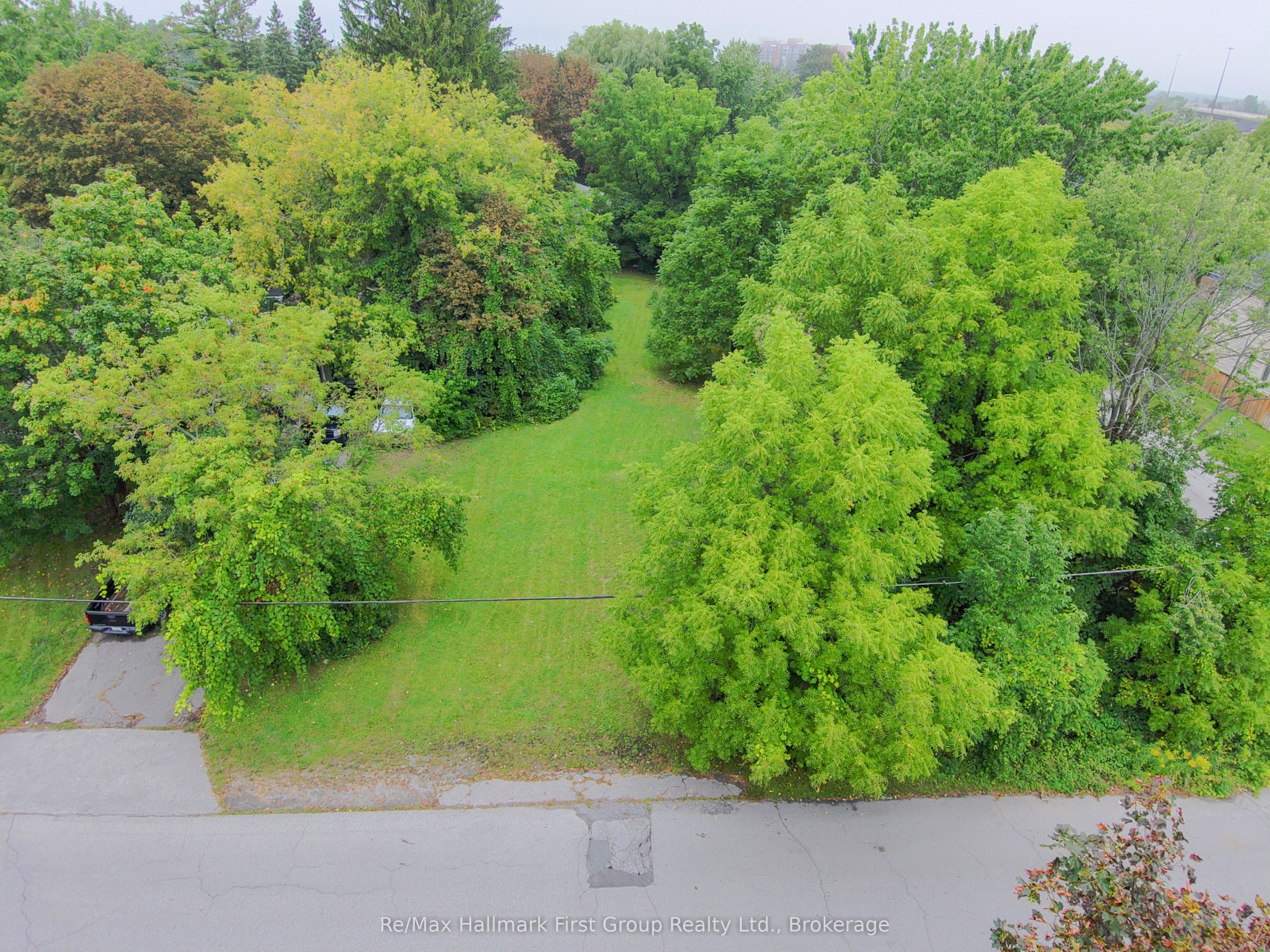 98 Euclid Avenue, Toronto, ON M1C 1J9 photo 4