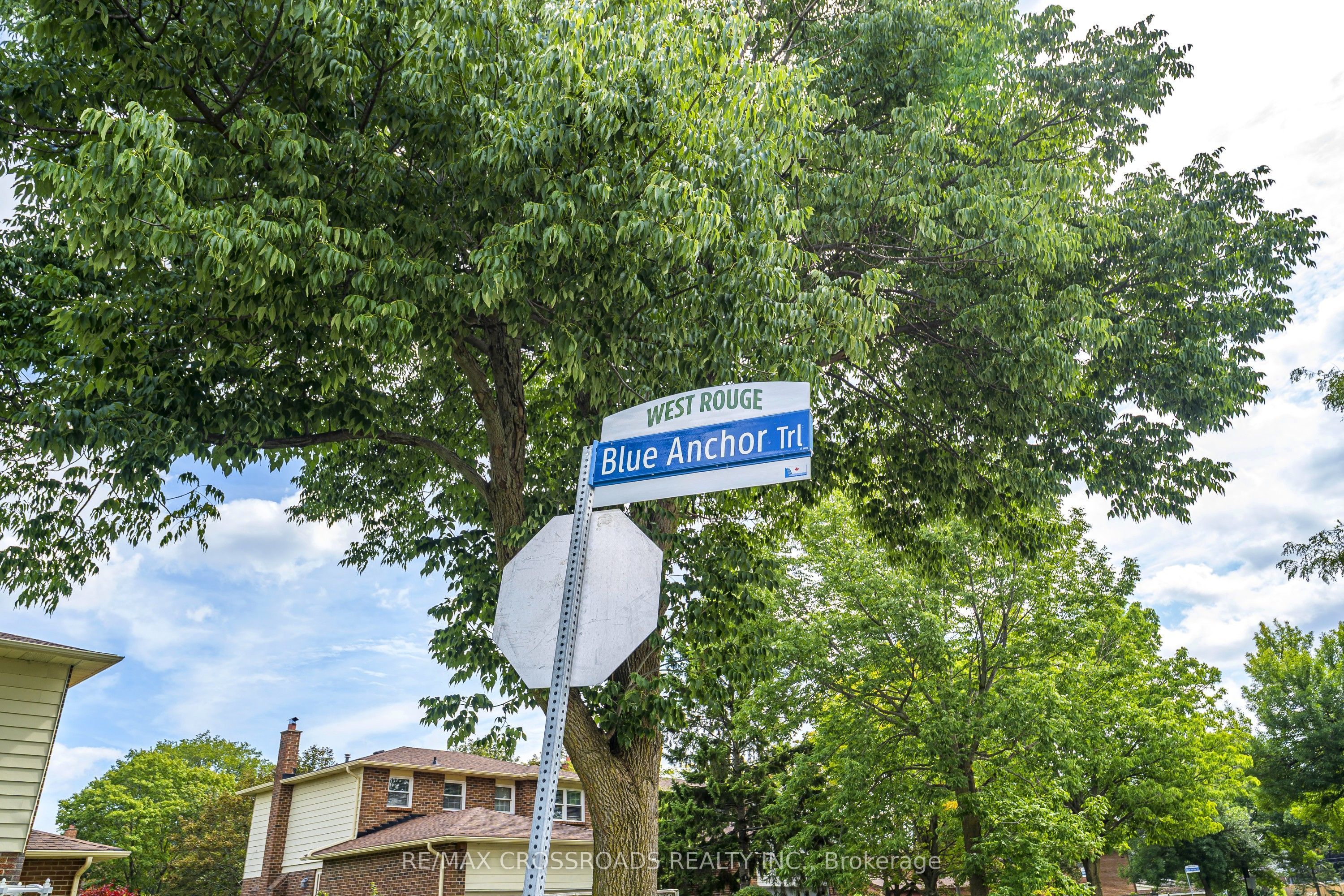 34 Blue Anchor Trail Bsmt, Toronto, ON M1C 3P2 photo 3