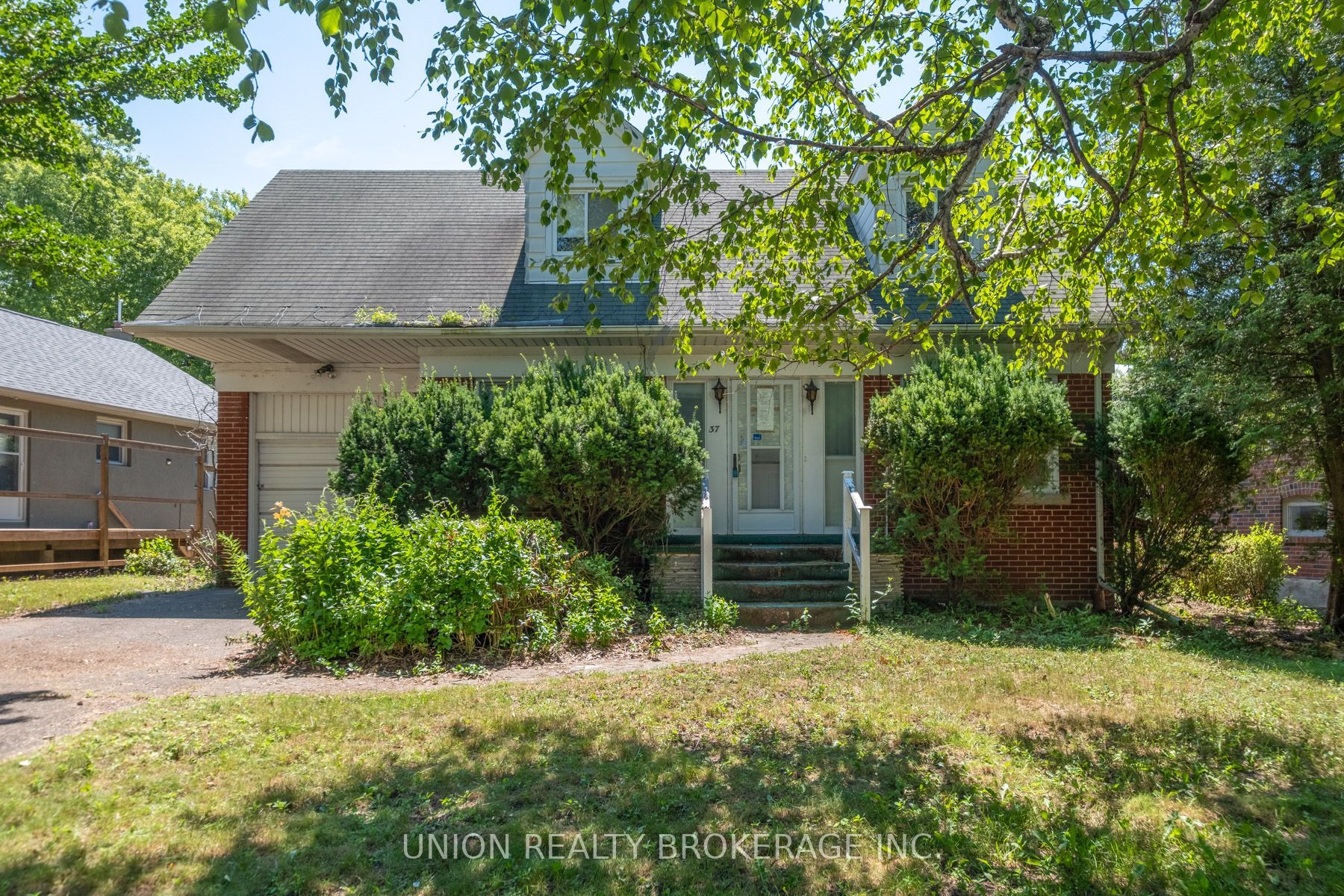 37 Shirley Crescent, Toronto, ON M1M 1K9 photo 3