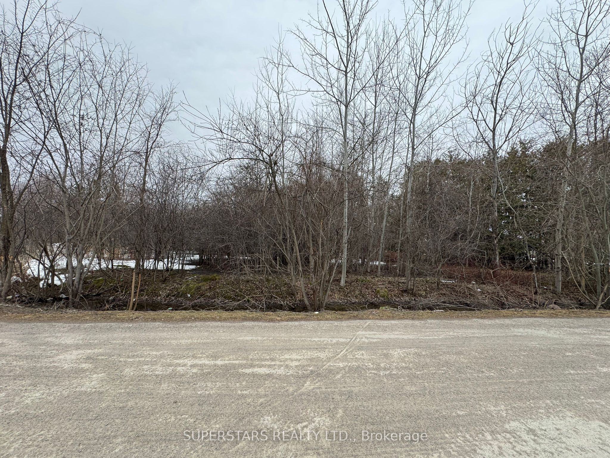 Lot 32 Twmarc Avenue, Brock, ON L0K 1A0 photo 3