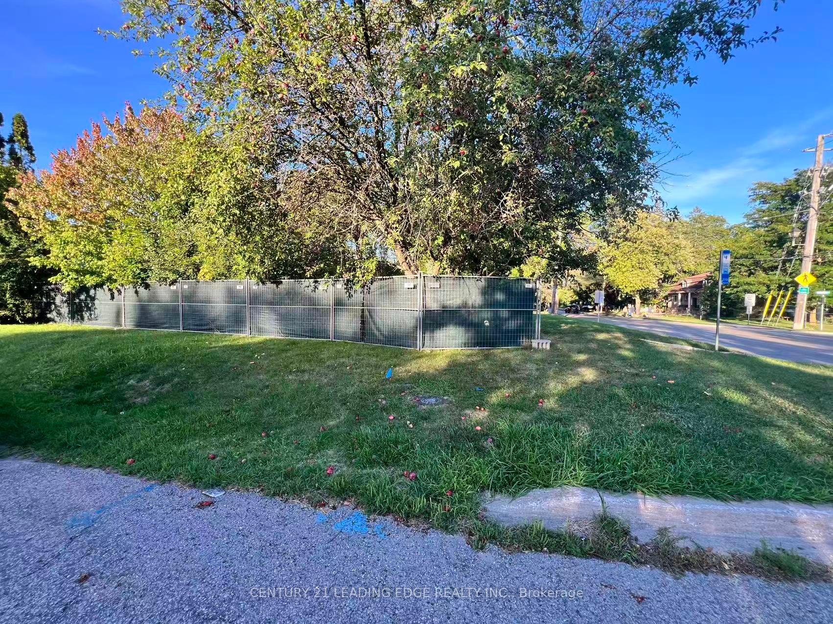 329 Mill Street, Richmond Hill, ON L4C 4B6 photo 5