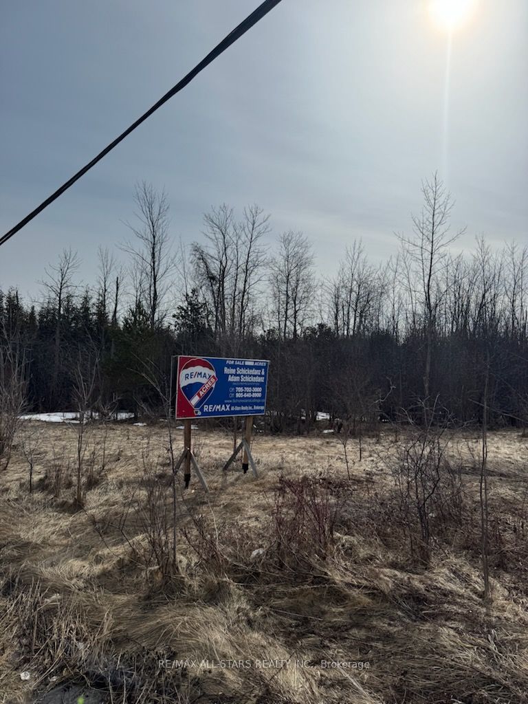 N/A Baseline Road, Georgina, ON L4P 3E9 photo 4
