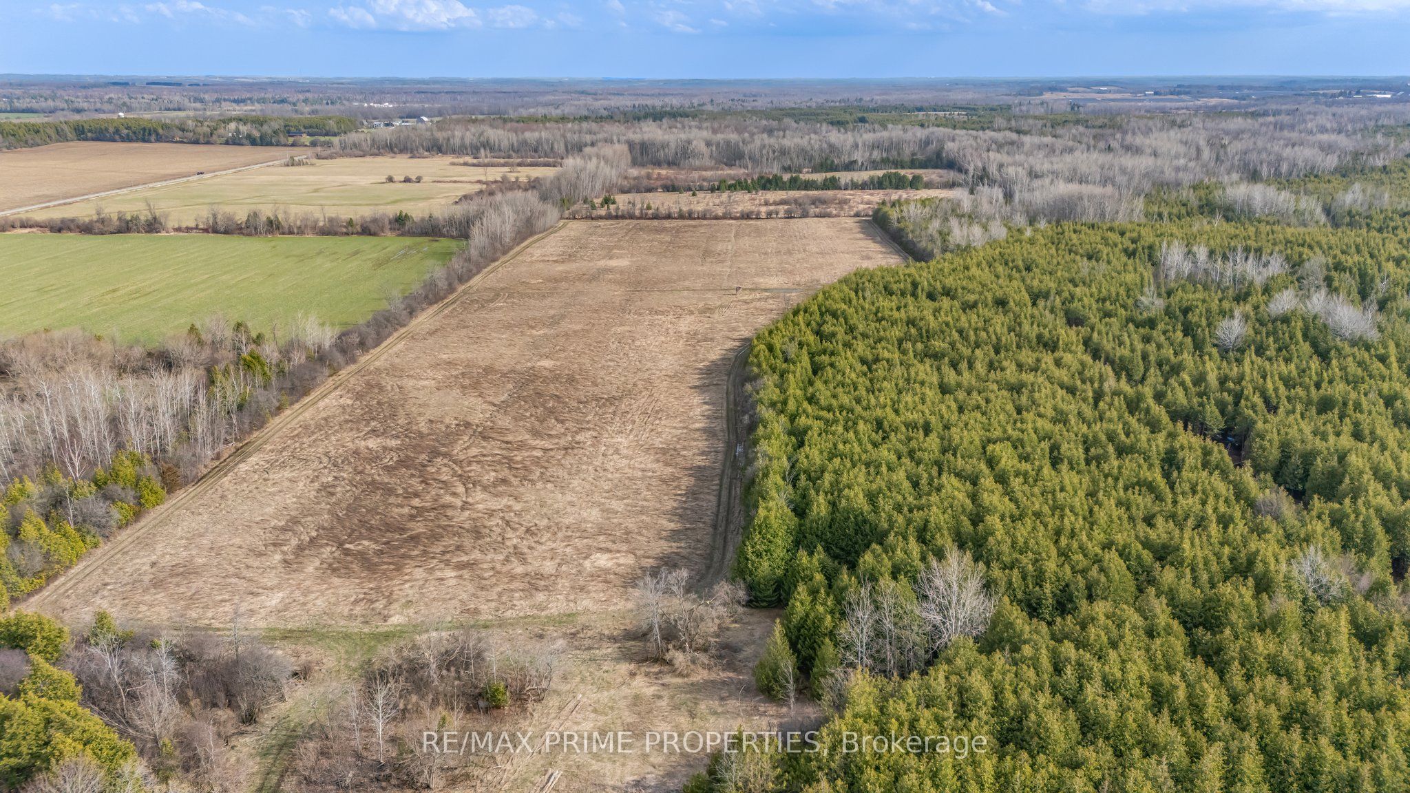 28171 Highway 48, Georgina, ON L0E 1R0 photo 5