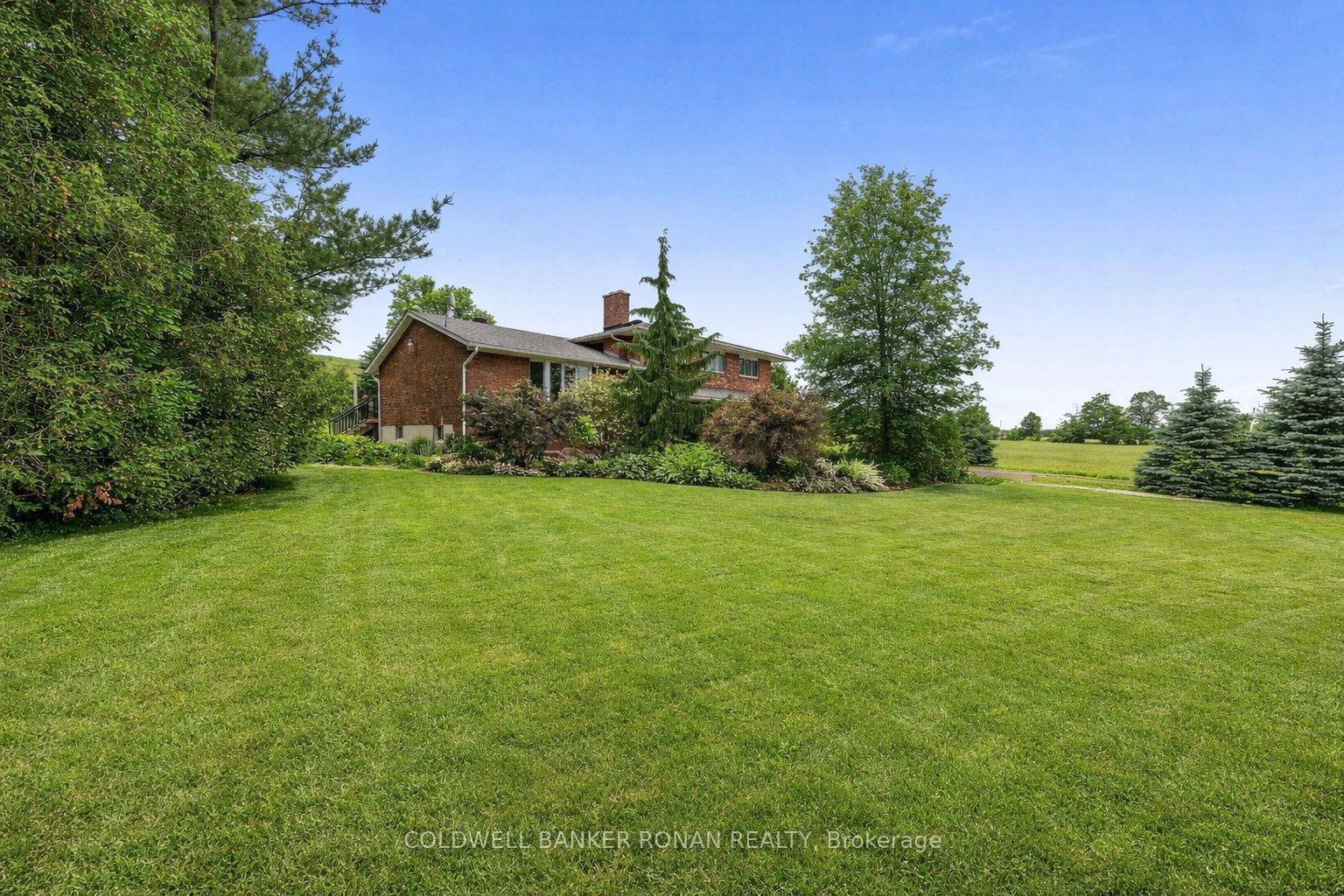 6145 3rd Line, New Tecumseth, ON L0G 1W0 photo 3