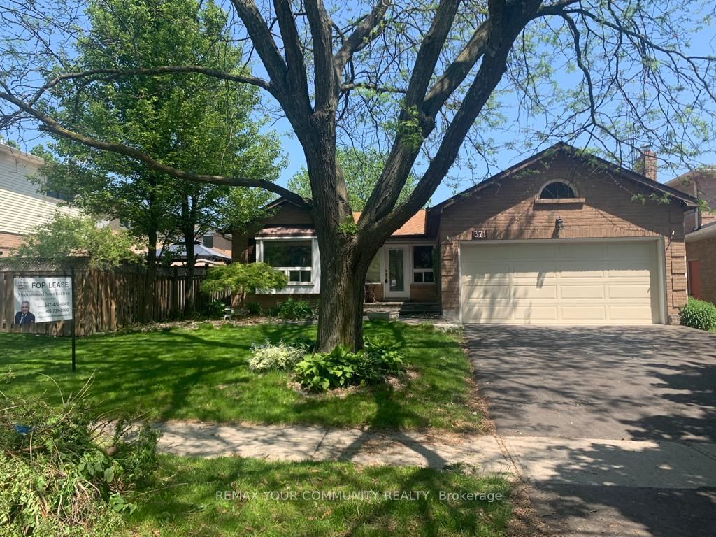 371 Selby Crescent Basement, Newmarket, ON L3Y 6E2