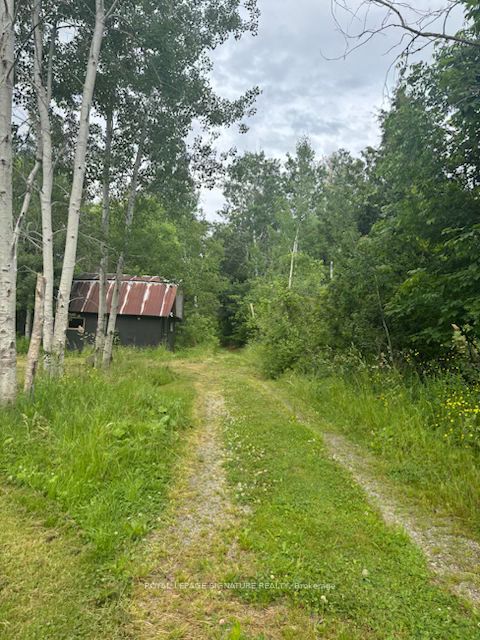 16469 7th Concession Road, King, ON L7B 0E4 photo 5