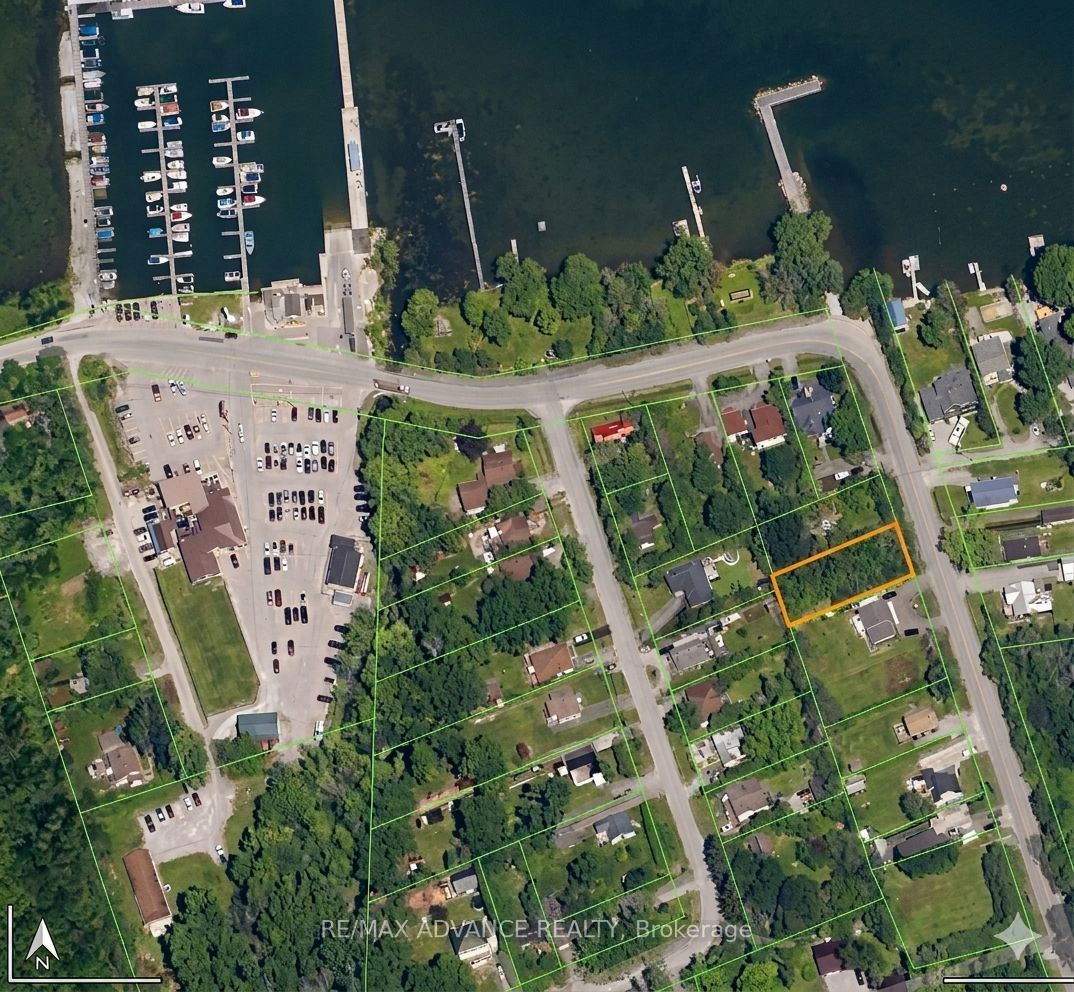 8 Hadden Road, Georgina, ON L0E 1R0 photo 3