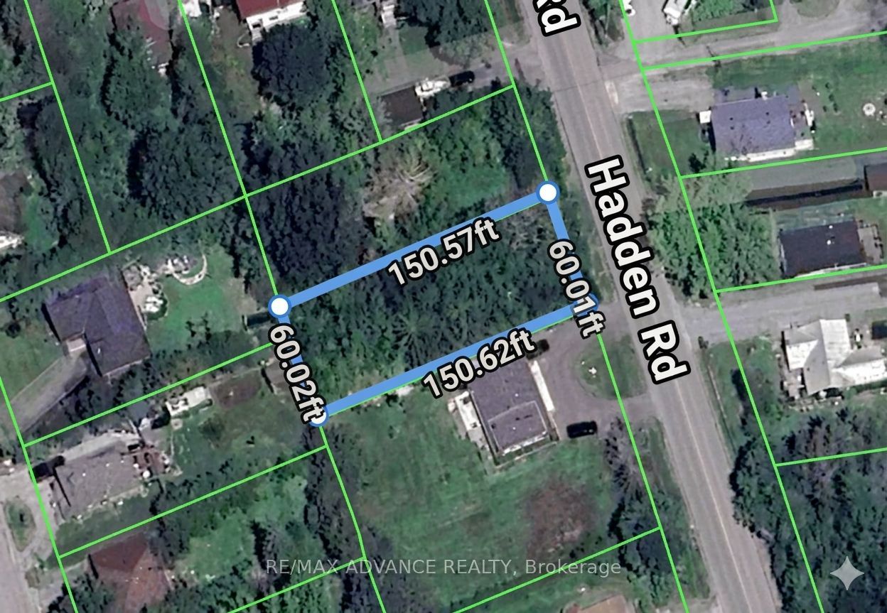 8 Hadden Road, Georgina, ON L0E 1R0 photo 5
