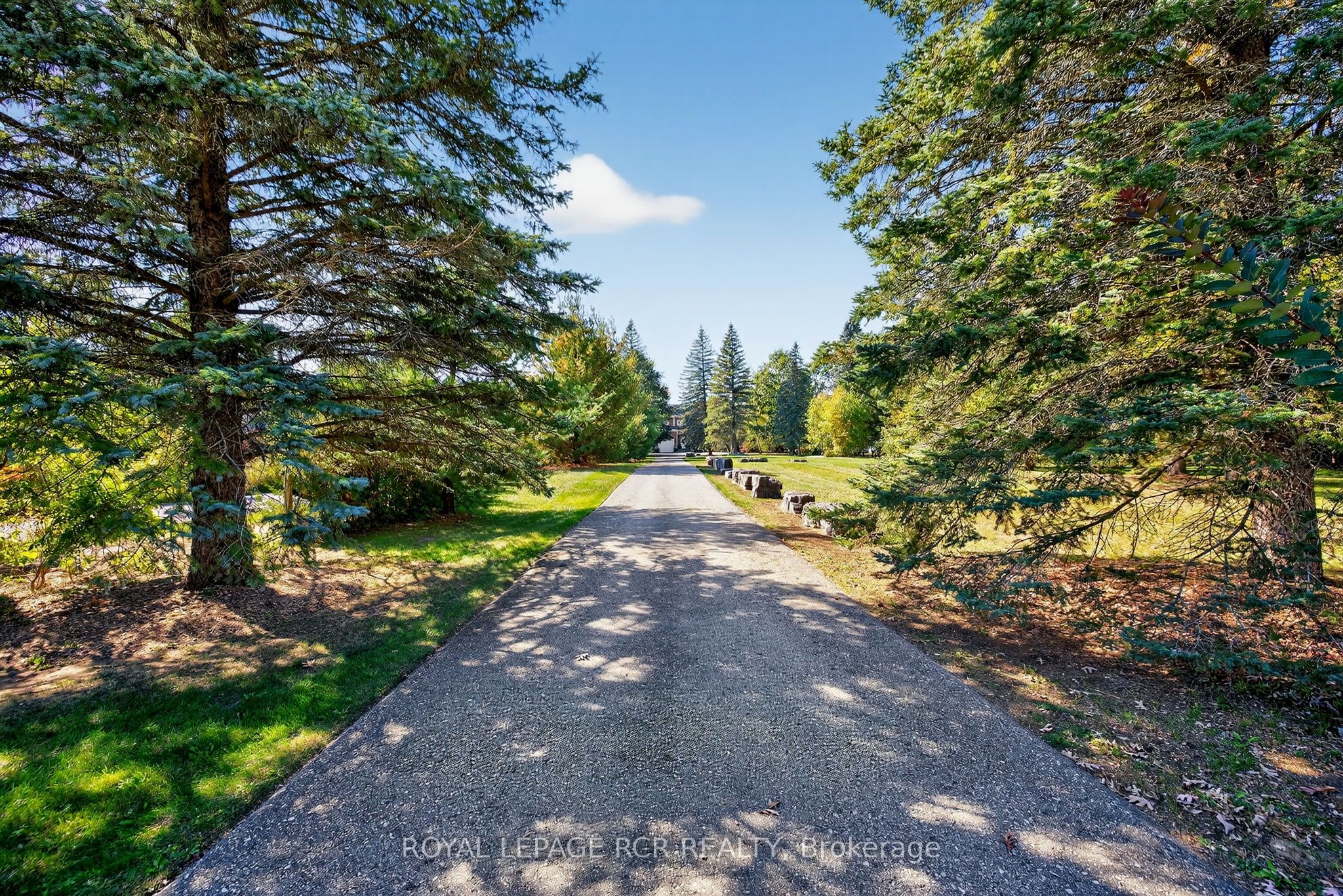20572 Yonge Street, East Gwillimbury, ON L9N 0J7 photo 4