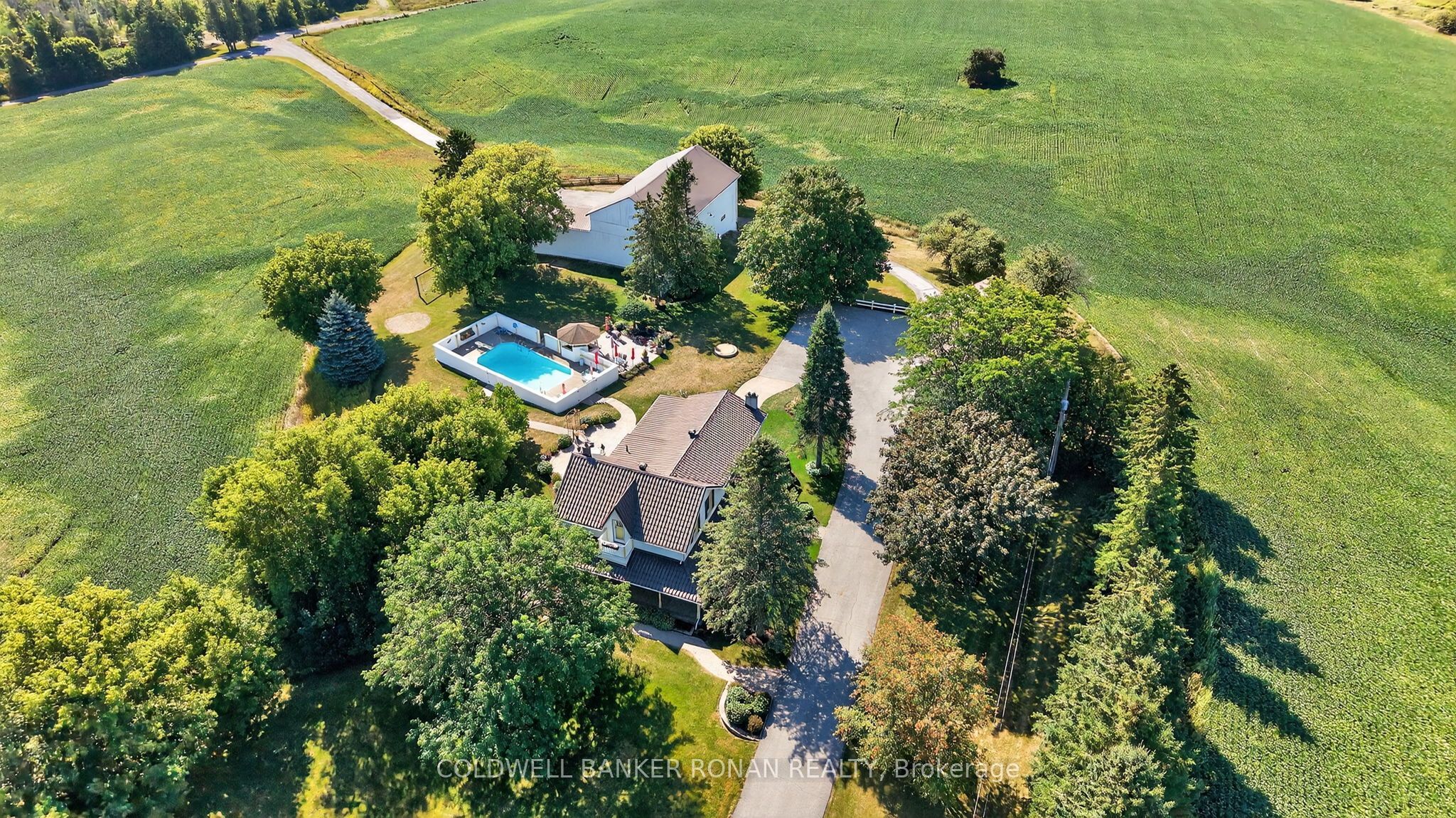 5977 13th Line, New Tecumseth, ON L0L 1L0 photo 3