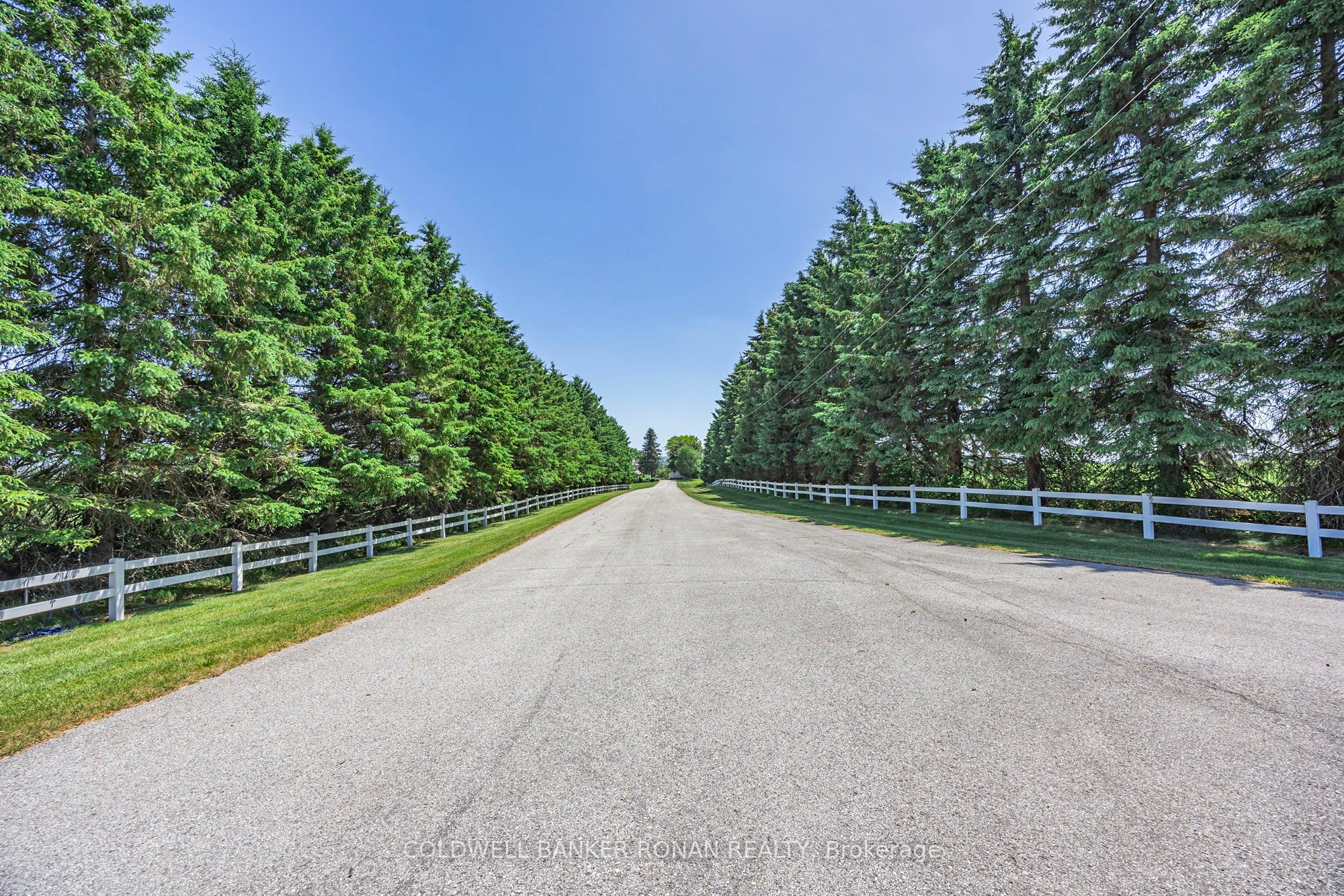 5977 13th Line, New Tecumseth, ON L0L 1L0 photo 4