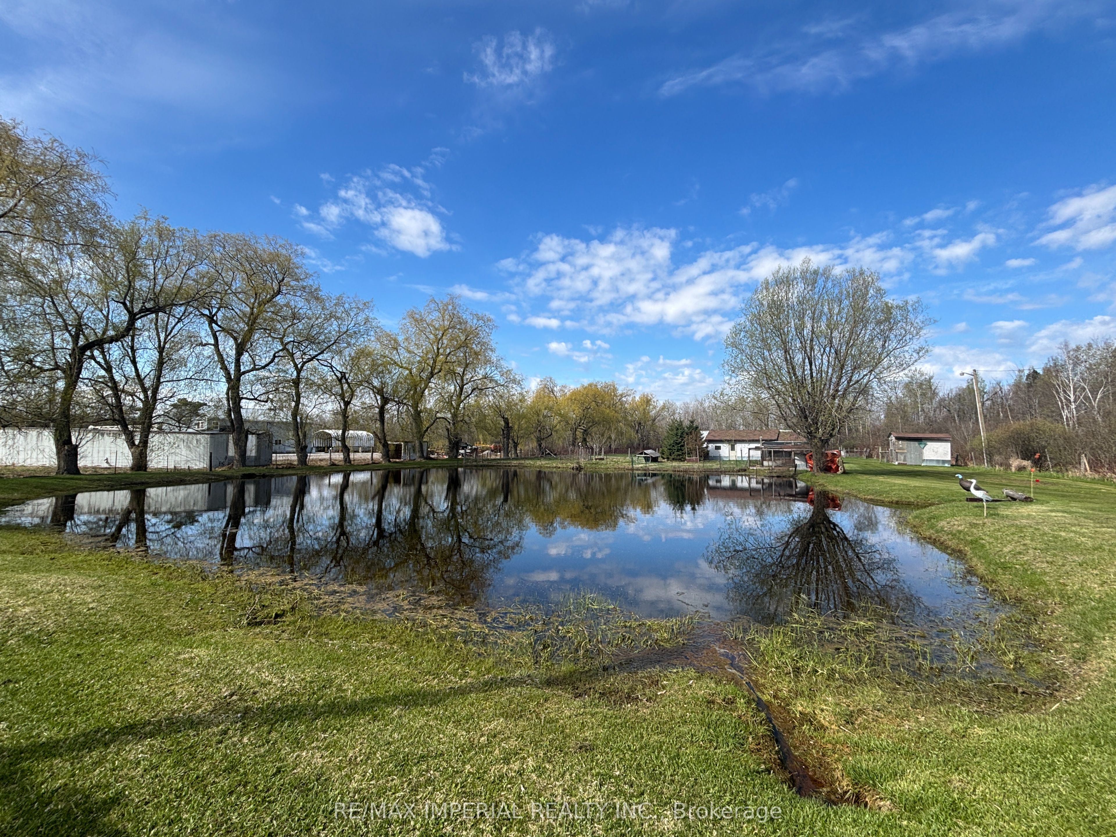 23276 Highway 48 Road, Georgina, ON L0E 1L0 photo 5