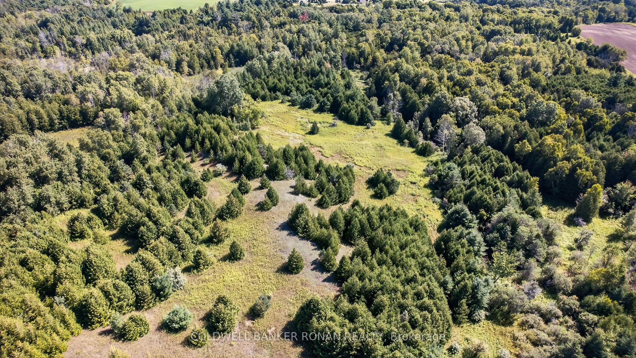 8155 19th Side Road, King, ON L0G 1T0 photo 2