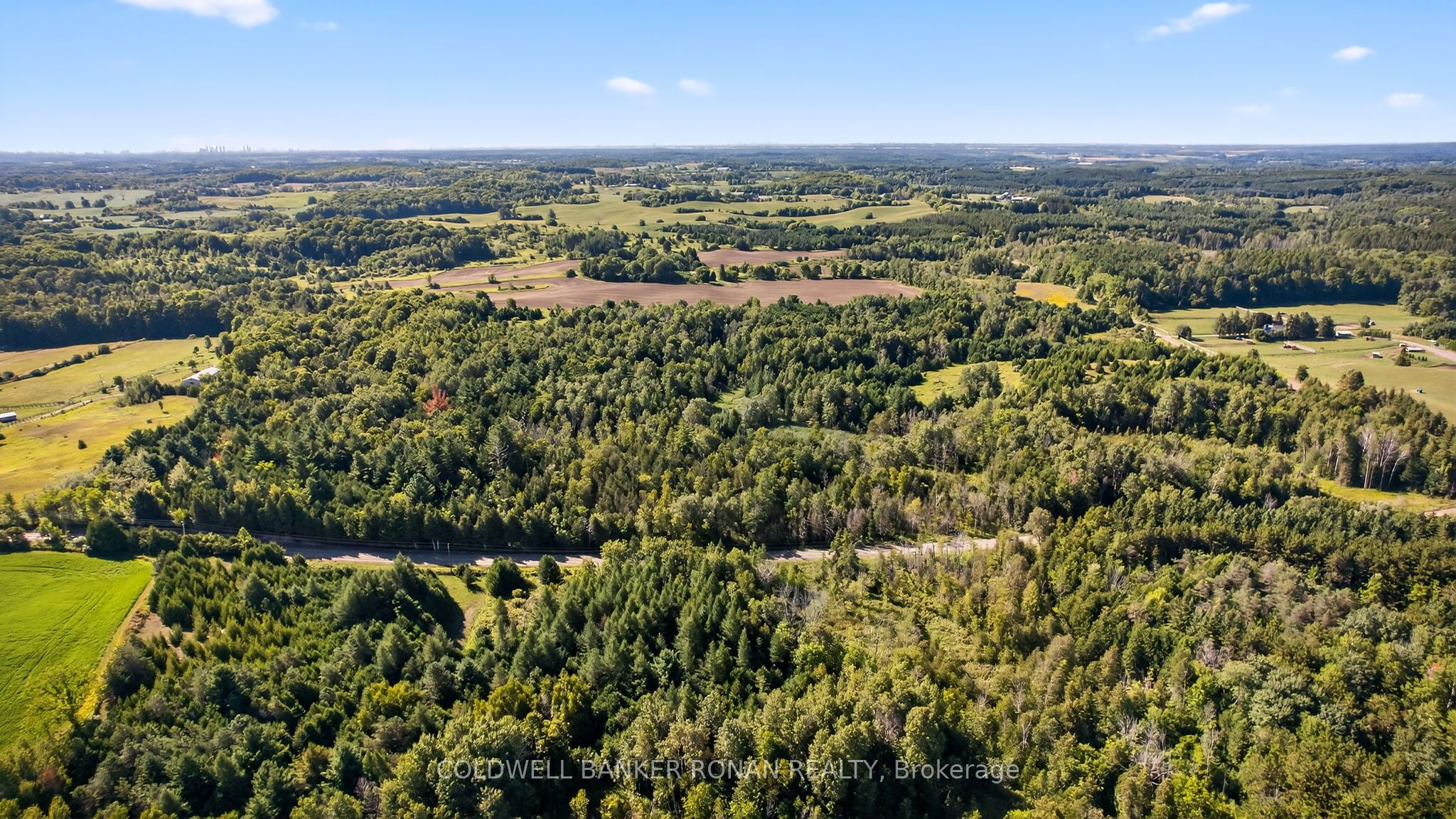 8155 19th Side Road, King, ON L0G 1T0 photo 3