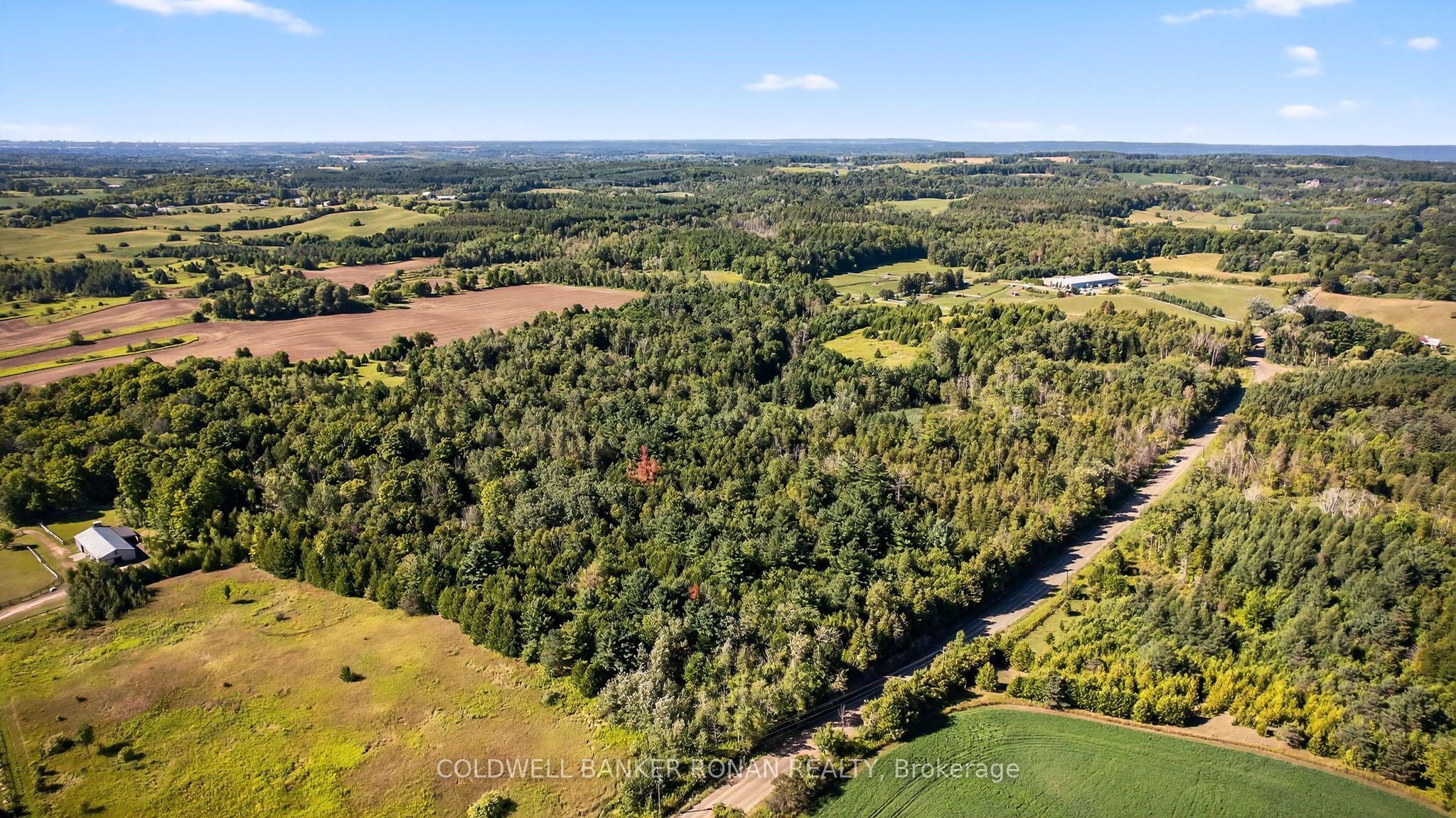 8155 19th Side Road, King, ON L0G 1T0 photo 4
