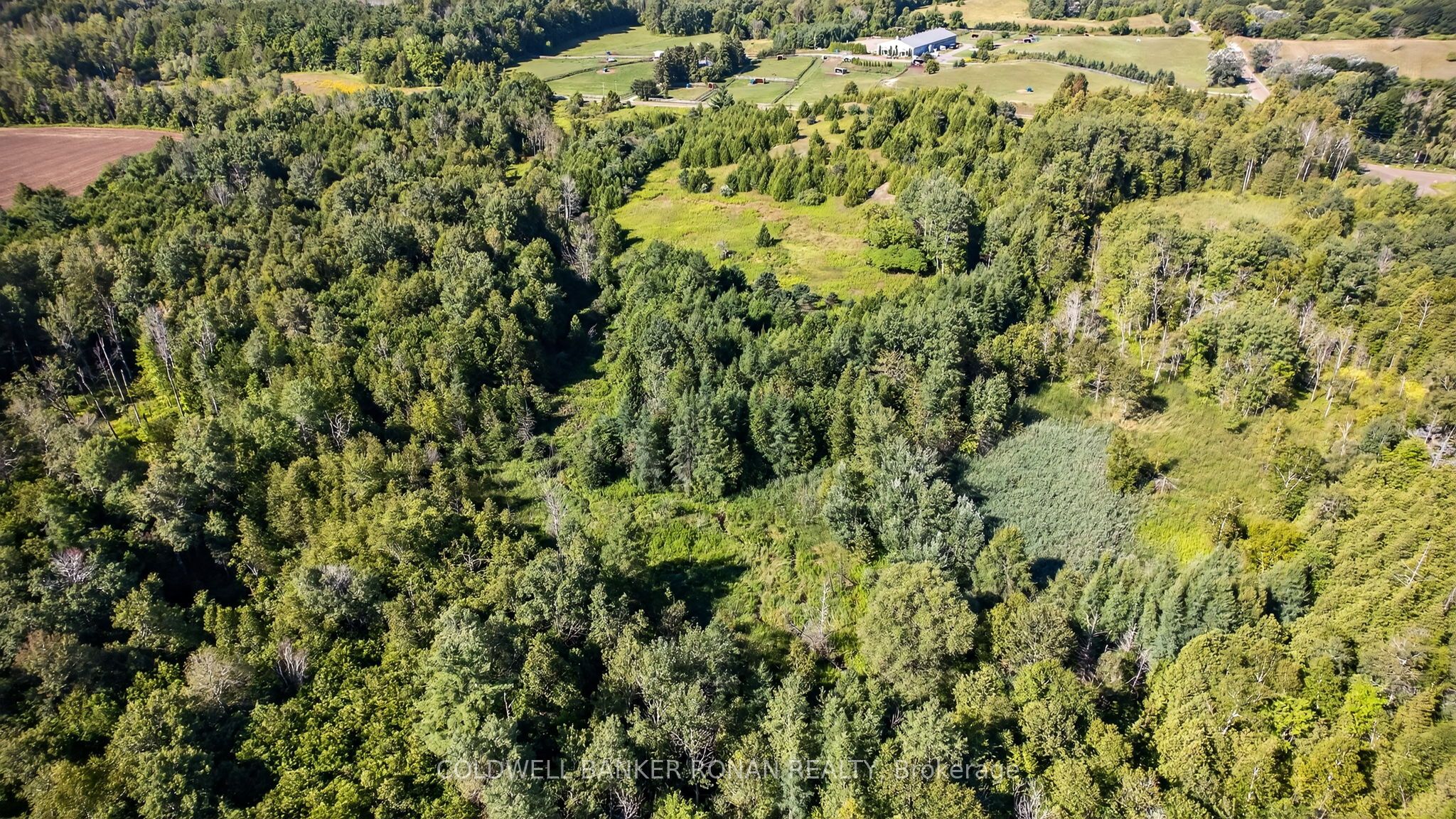 8155 19th Side Road, King, ON L0G 1T0 photo 5