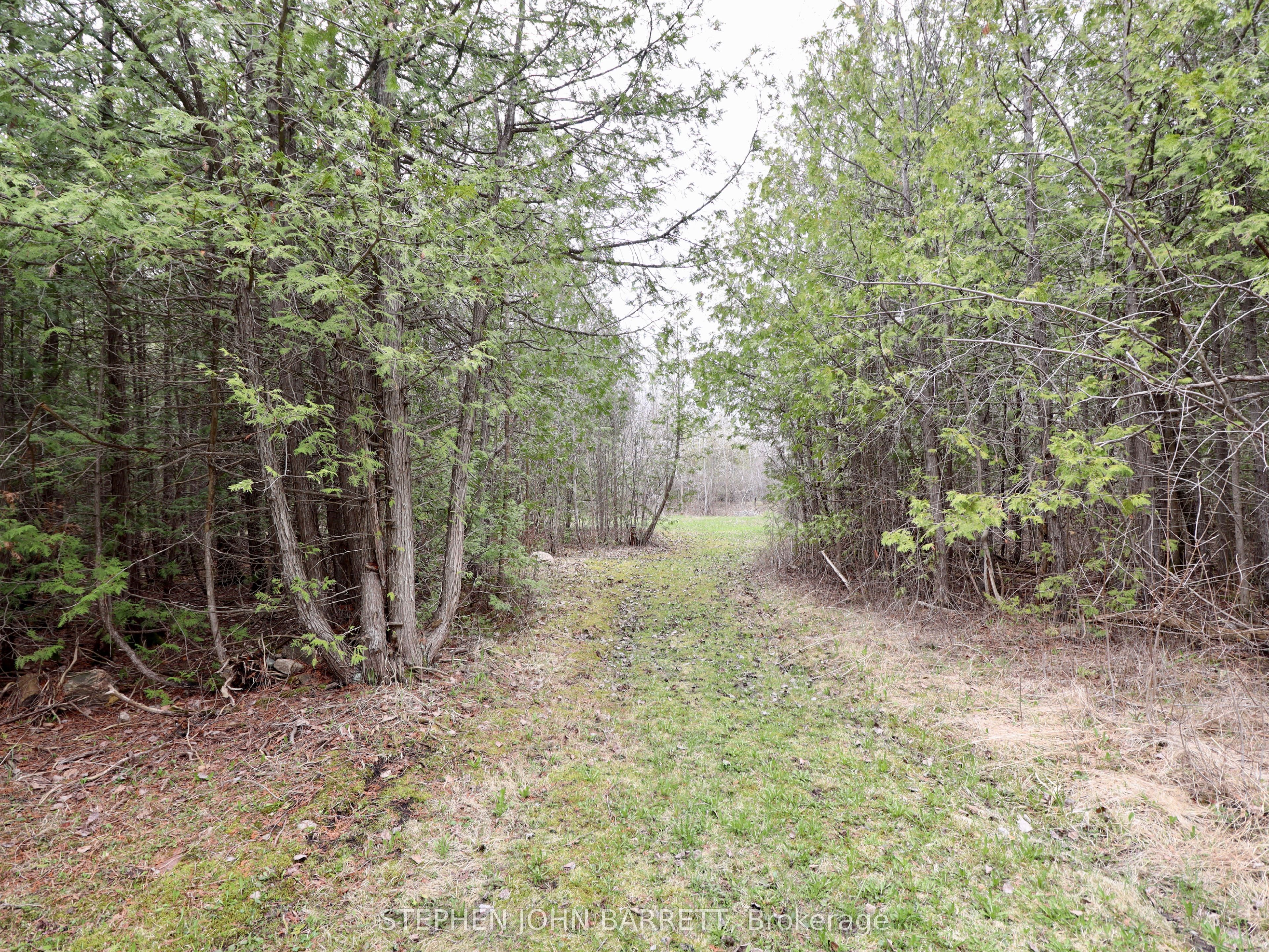 27352 48 Highway, Georgina, ON L0E 1R0 photo 3