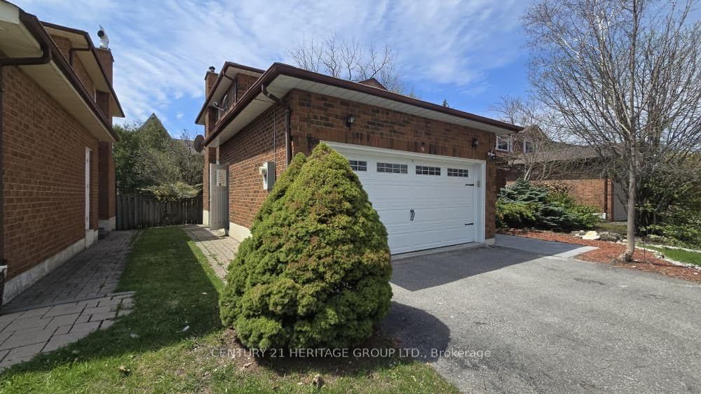 9 Addison Street Bsmt, Richmond Hill, ON L4C 7M2 photo 2