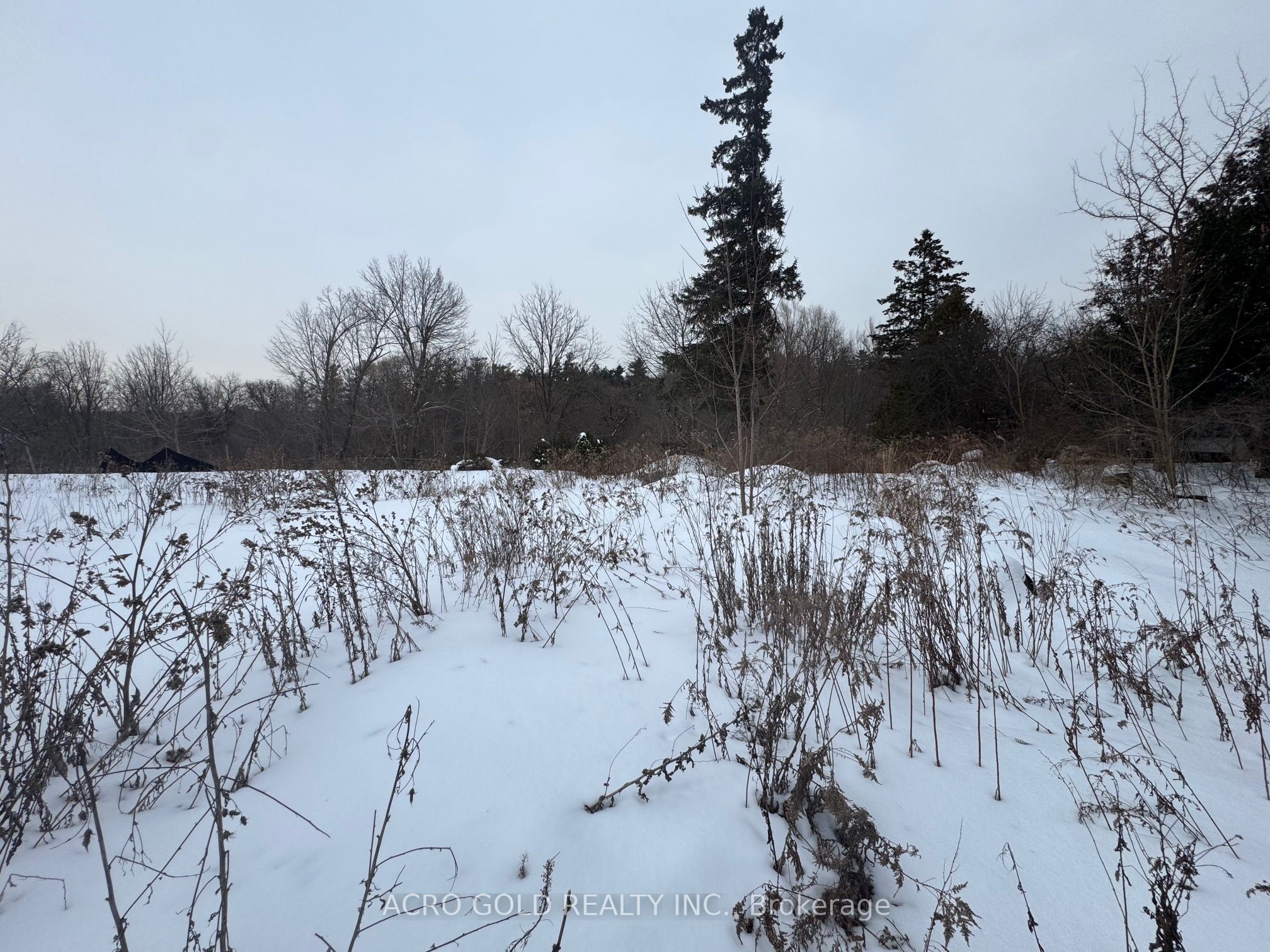 8519 Islington Avenue, Vaughan, ON L4L 1X3 photo 3