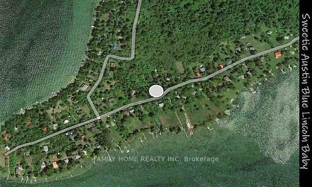 91 Snake Island Road, Georgina Islands, ON L0E 1R0