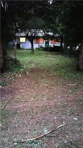 91 Snake Island Road, Georgina Islands, ON L0E 1R0 photo 5