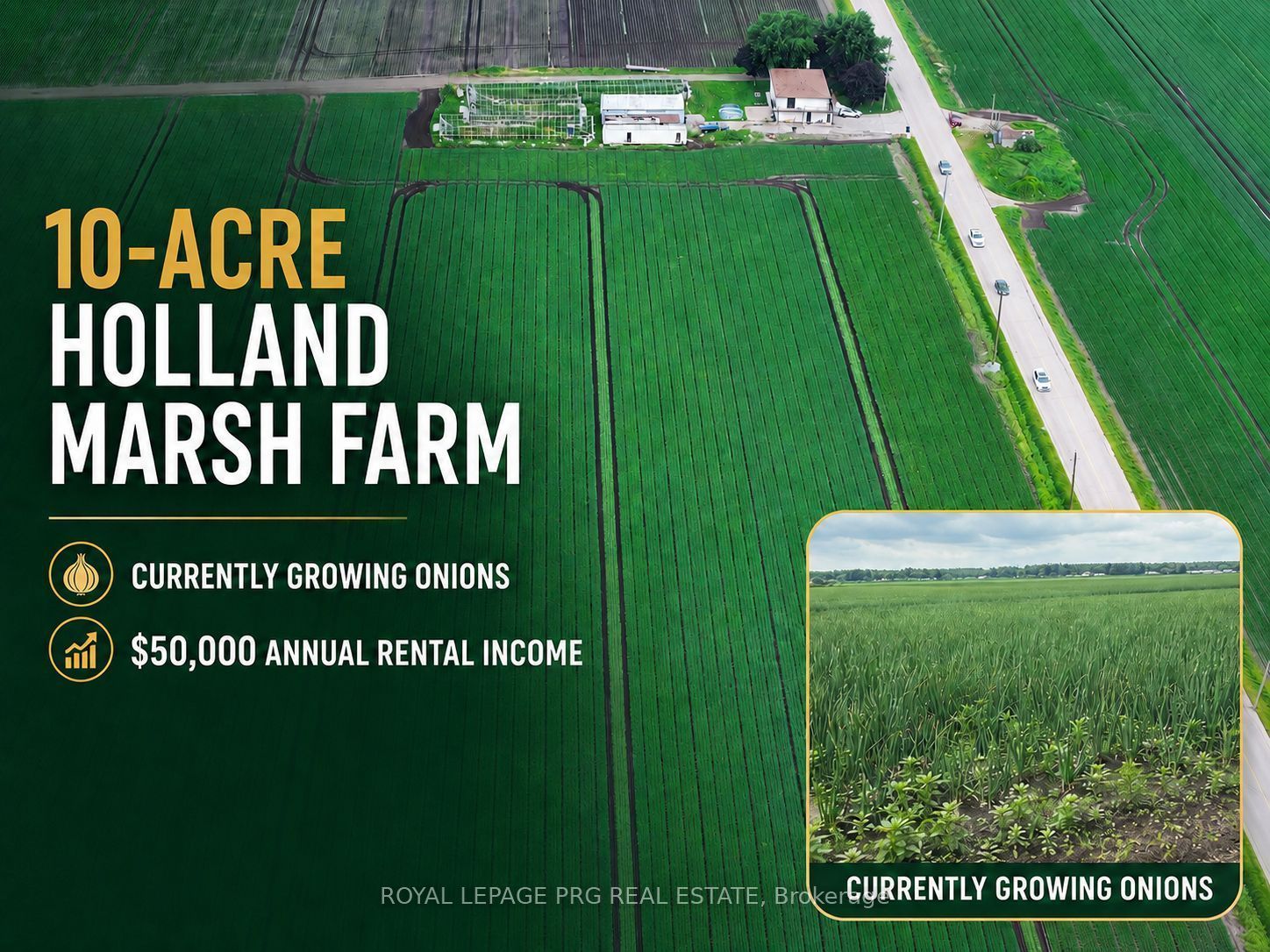 1160 River Rd Road, Bradford West Gwillimbury, ON L3Z 4A3